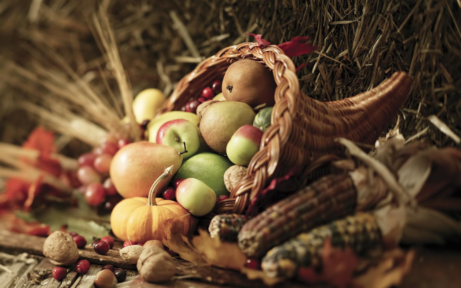 Thanksgiving Cornucopia Wallpapers