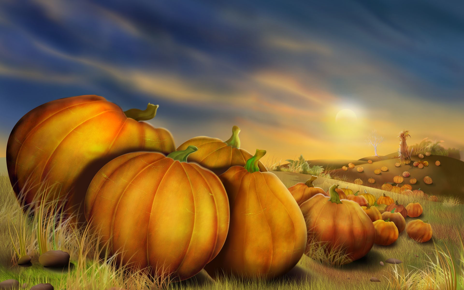 Thanksgiving Hd Widescreen Wallpapers