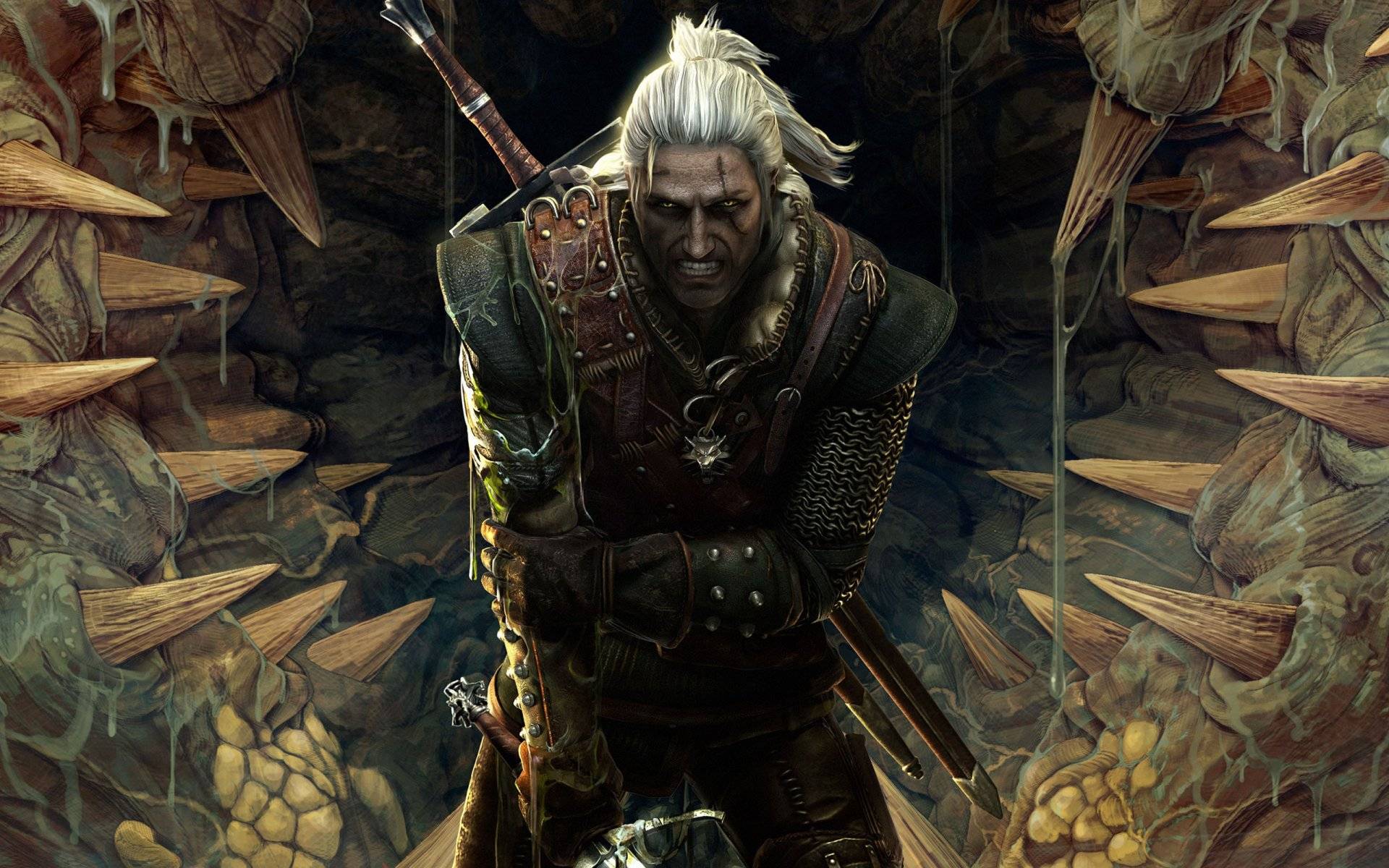 The Witcher 2 Wallpapers