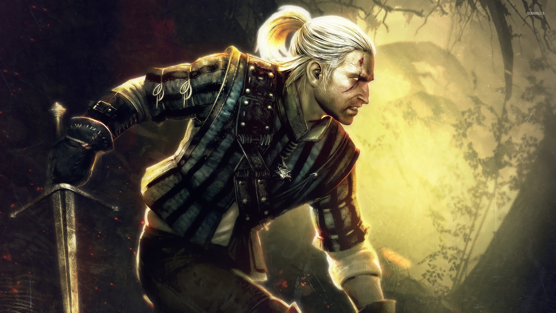 The Witcher 2 Wallpapers