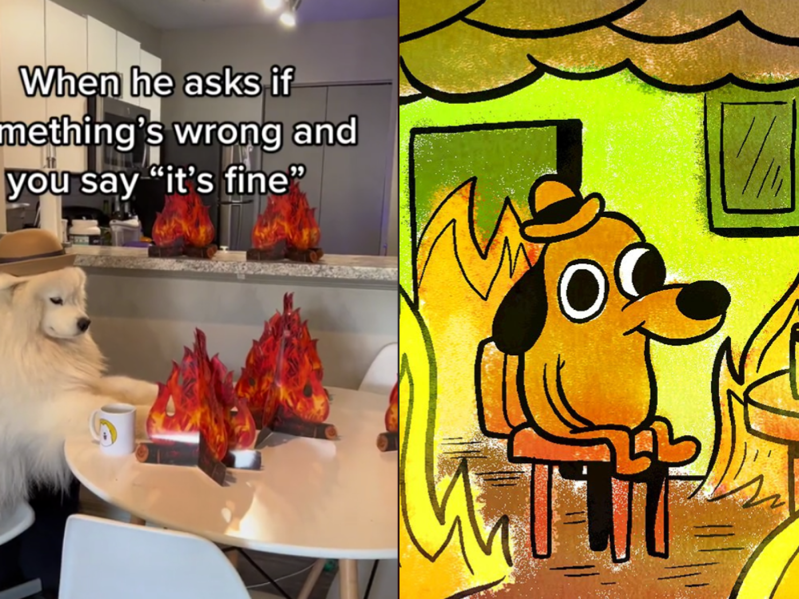 This Is Fine Wallpapers