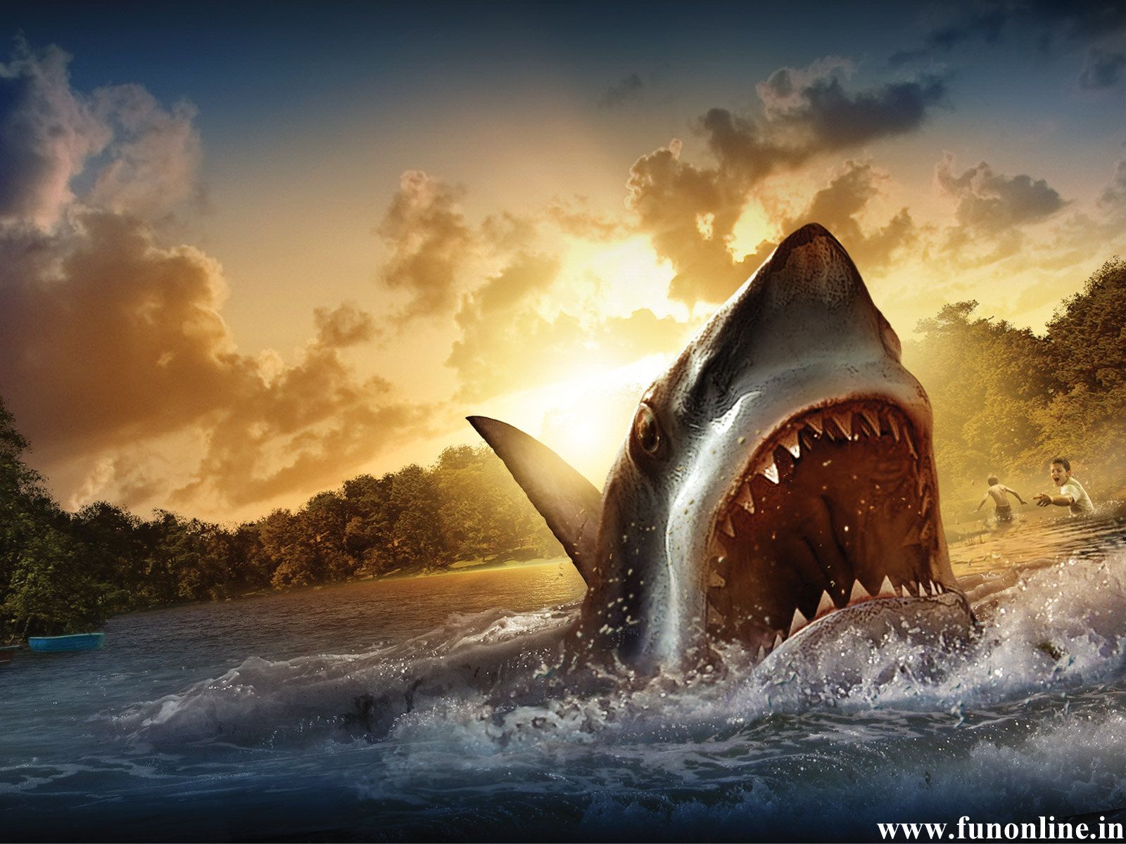 Tiger Shark Wallpapers