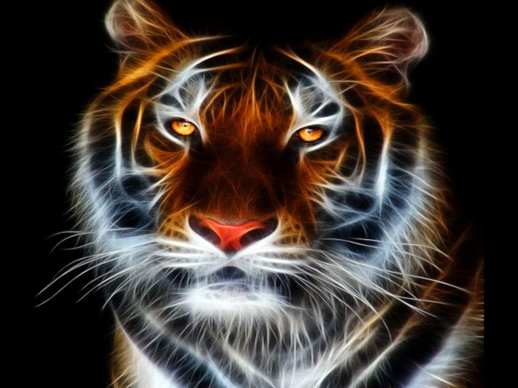 Tiger Free Wallpapers