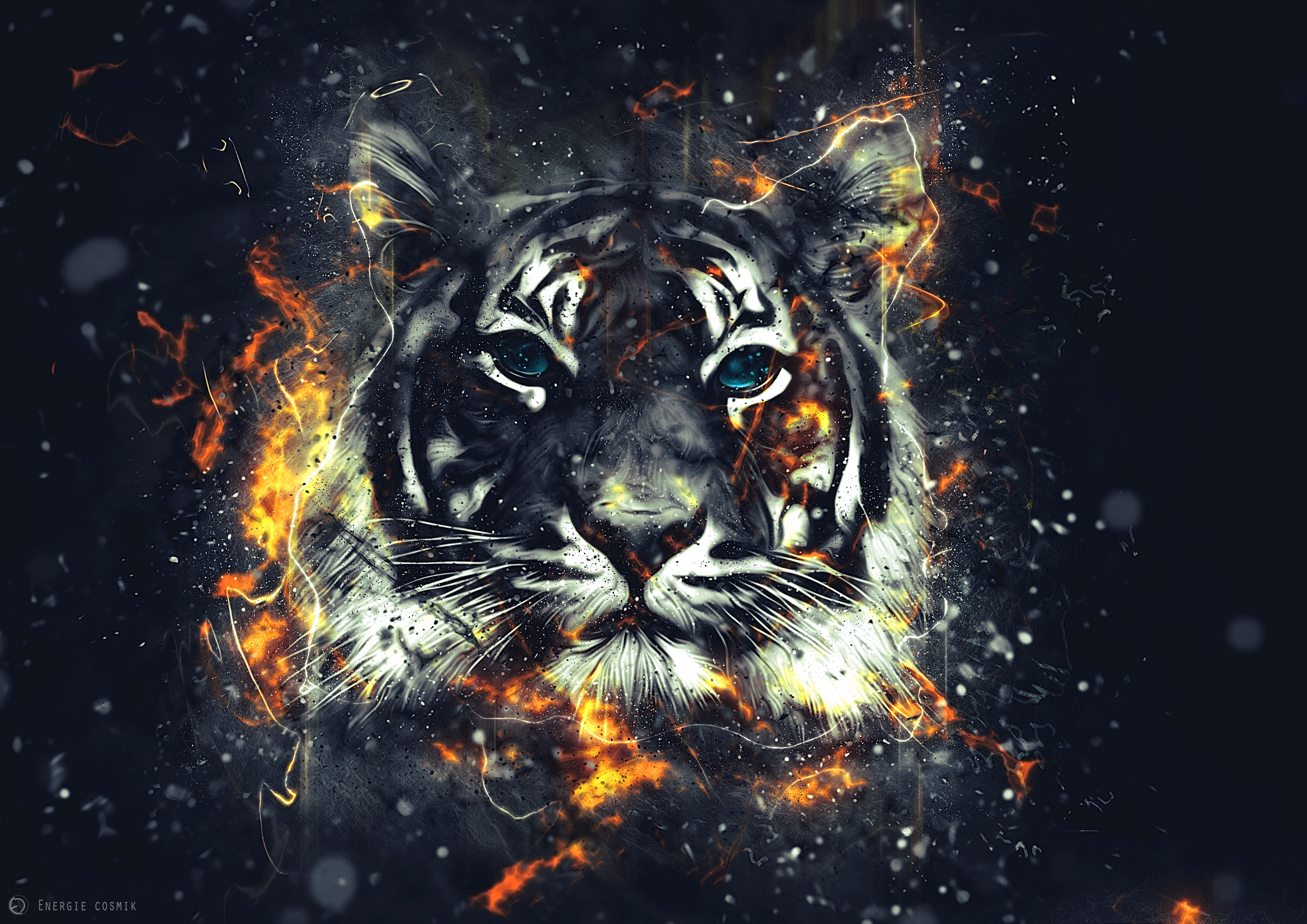 Tiger Free Wallpapers