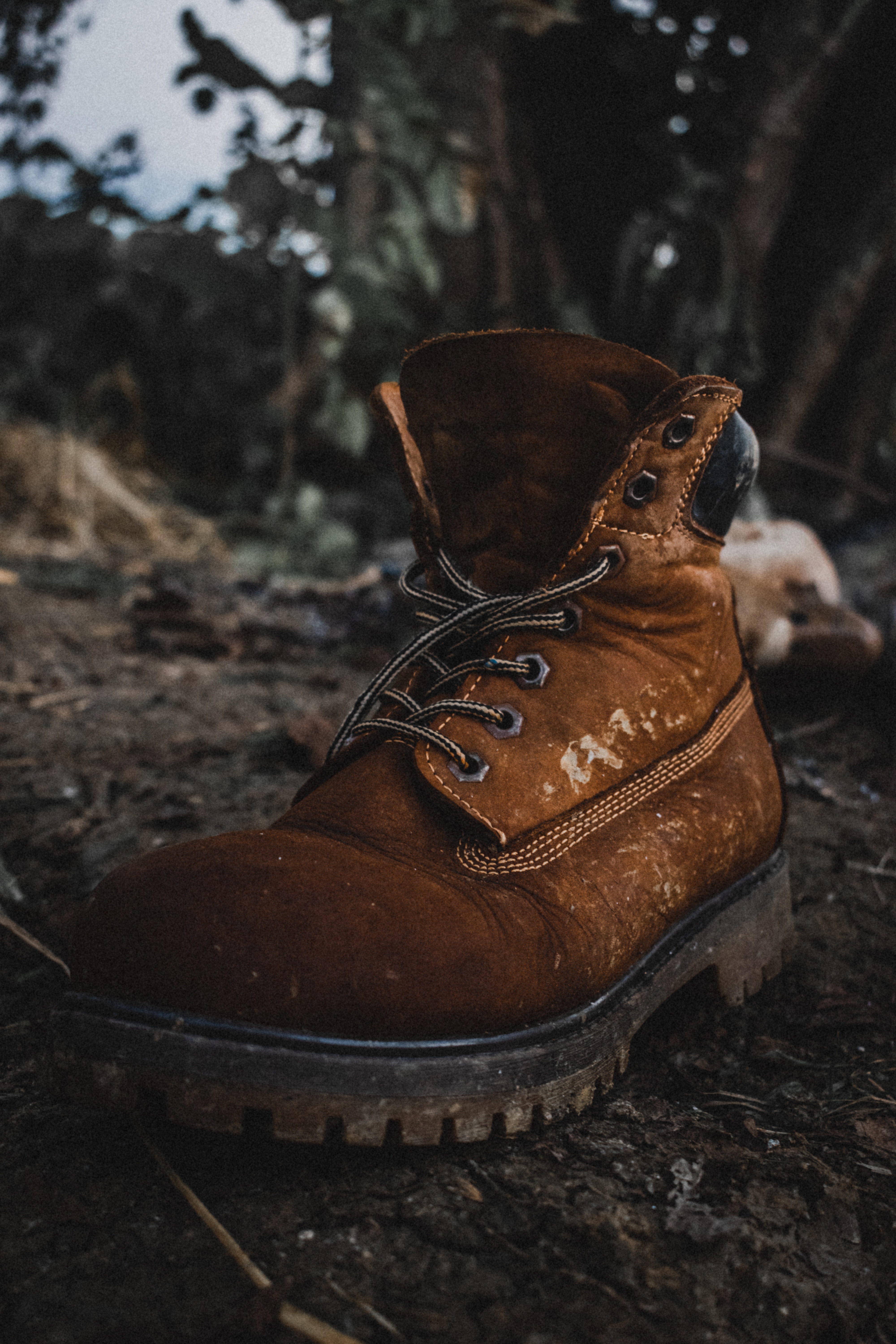 Timberland Wallpapers