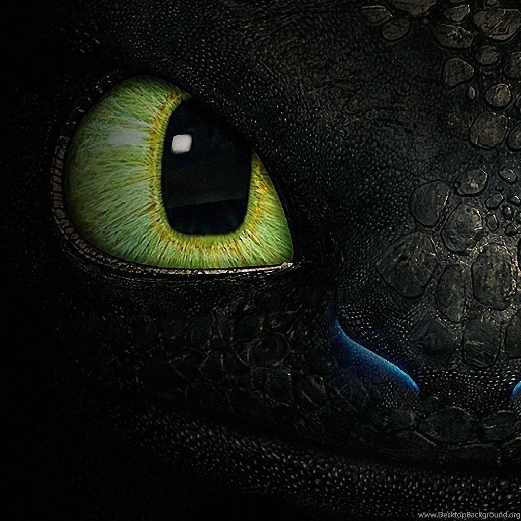 Toothless Wallpapers