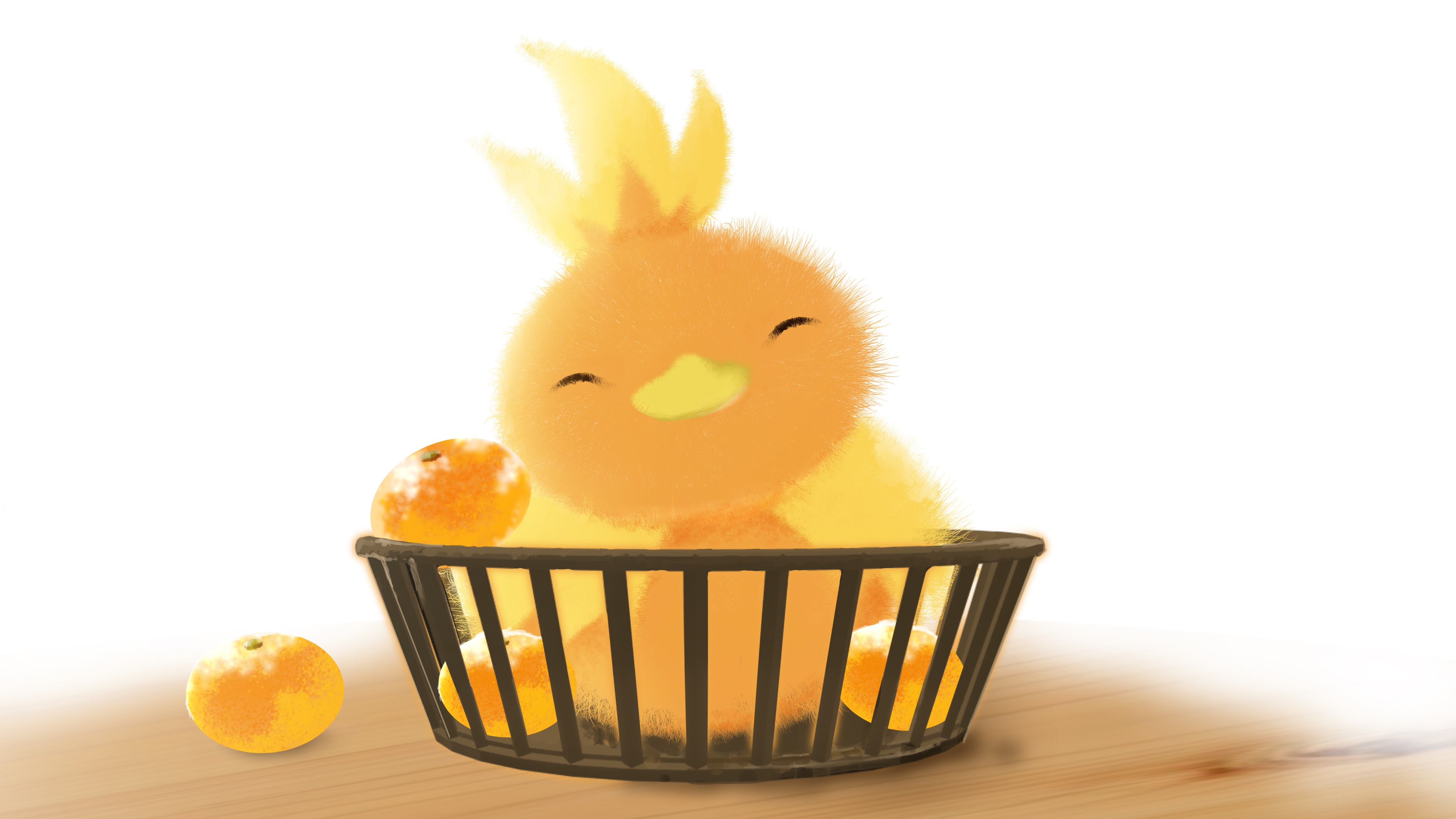 Torchic Wallpapers