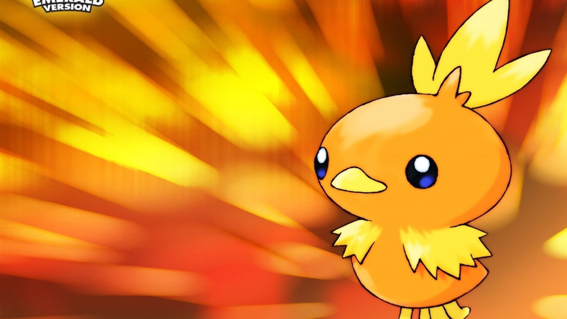 Torchic Wallpapers