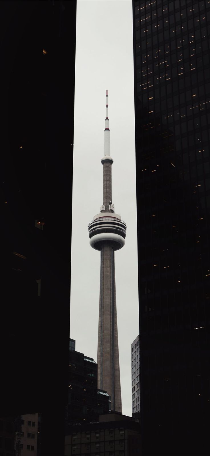 Toronto Iphone Wallpapers