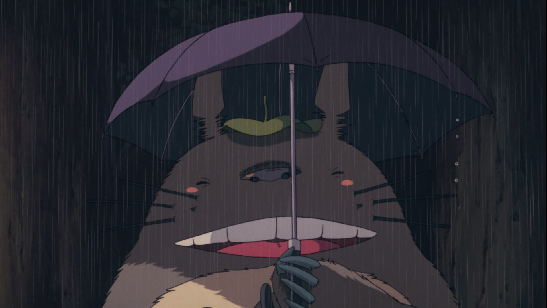 Totoro Umbrella Wallpapers