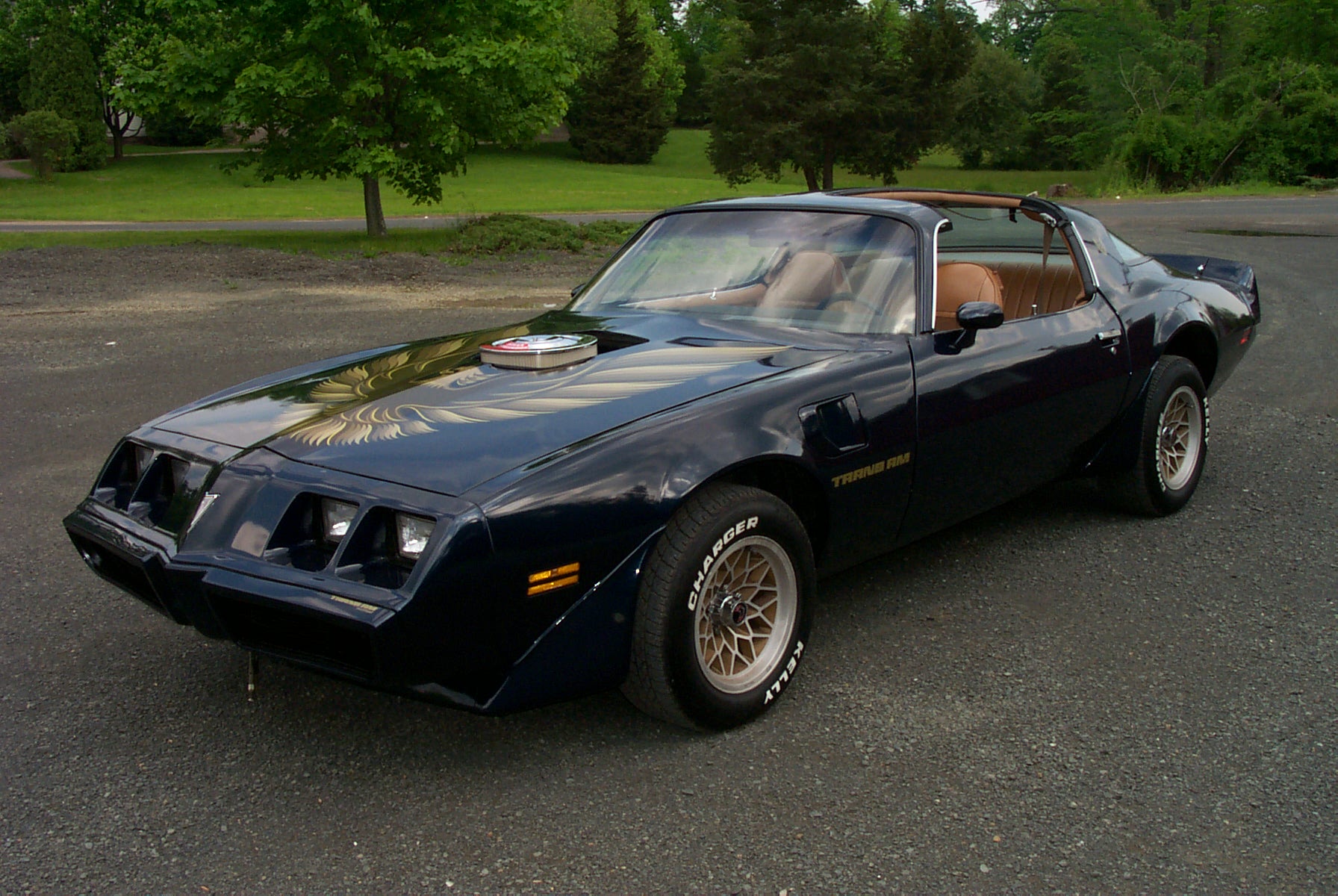 Transam Wallpapers