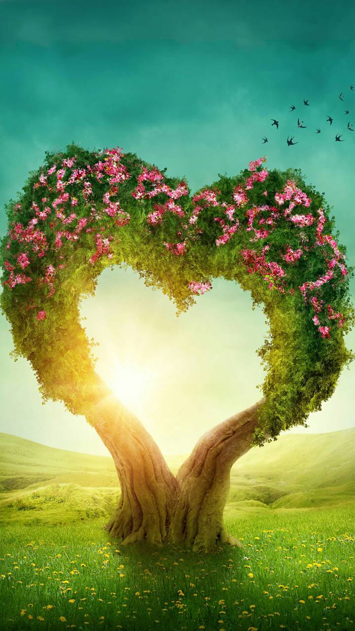 Tree For Love Wallpapers