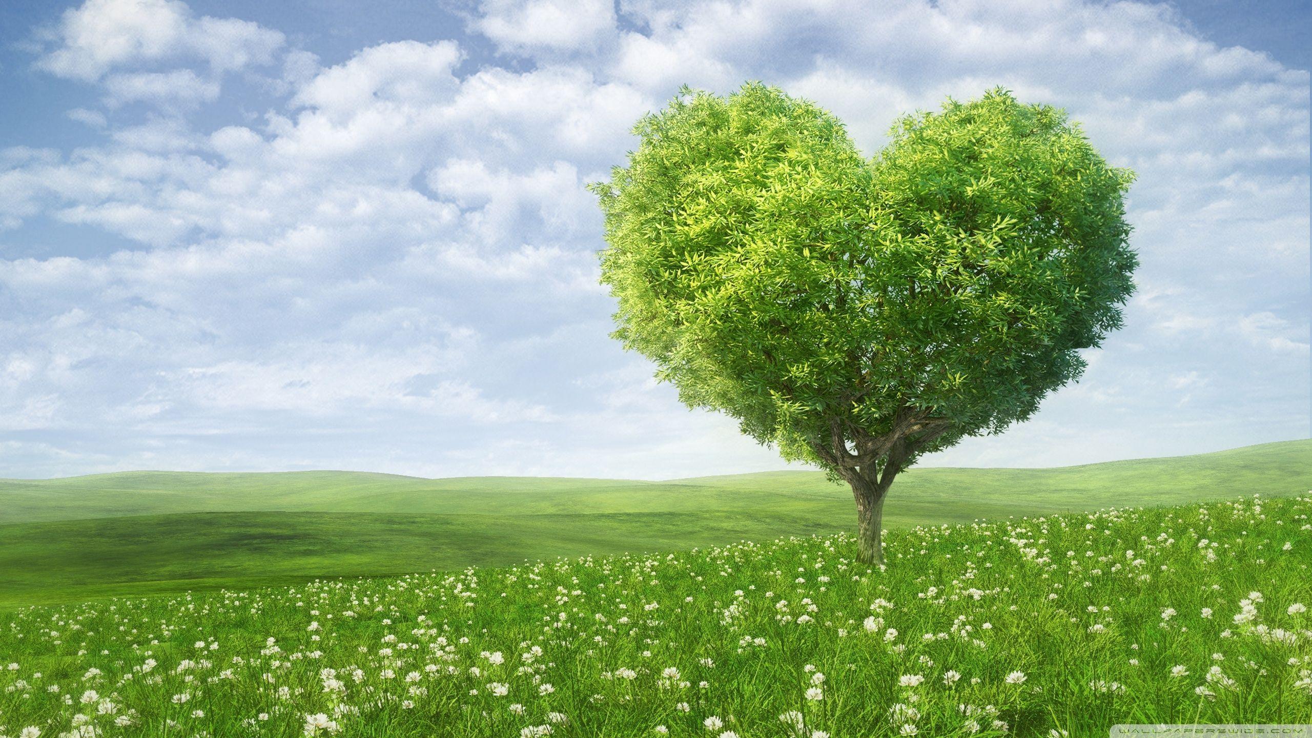 Tree For Love Wallpapers