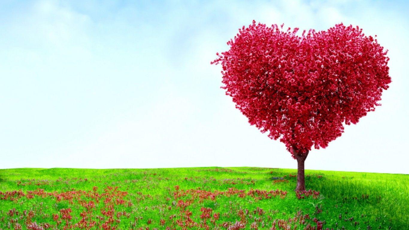 Tree For Love Wallpapers