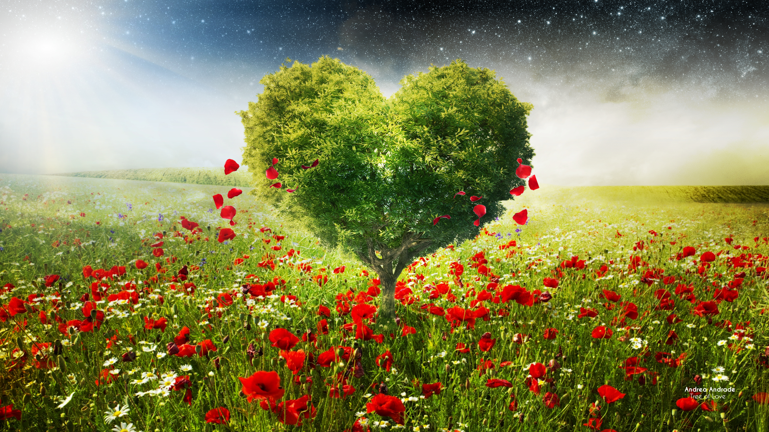 Tree For Love Wallpapers