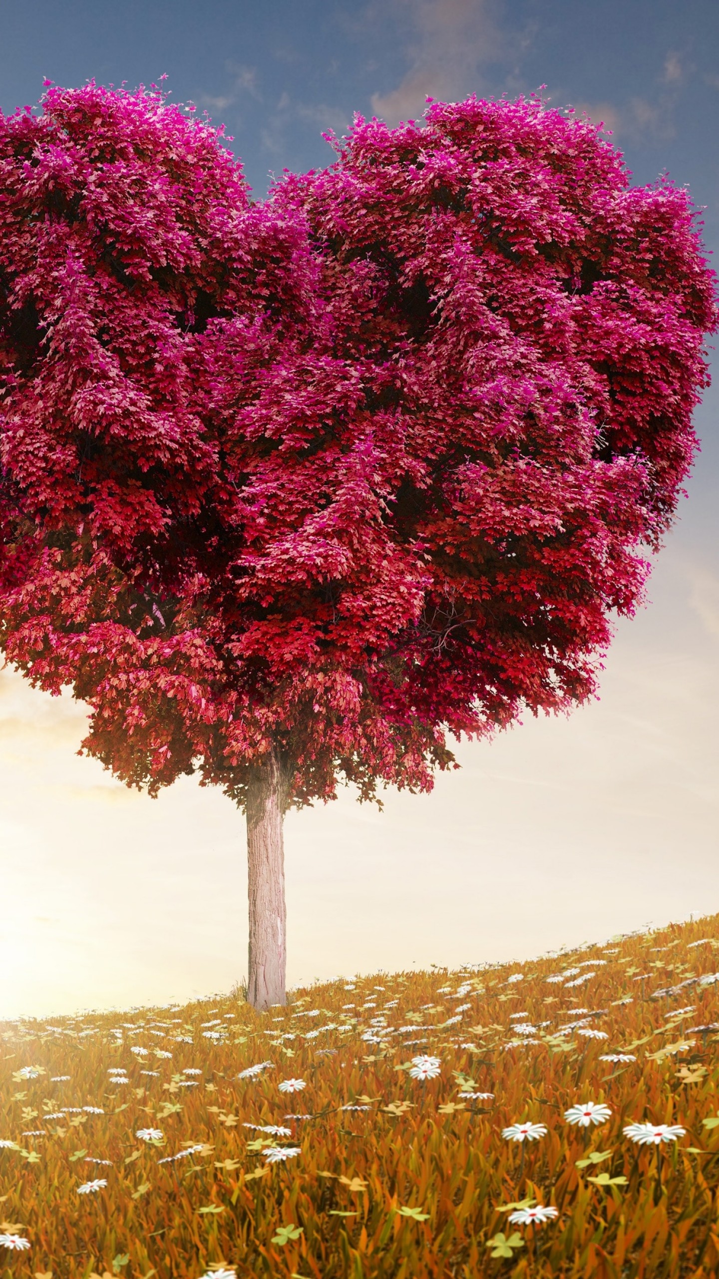 Tree For Love Wallpapers