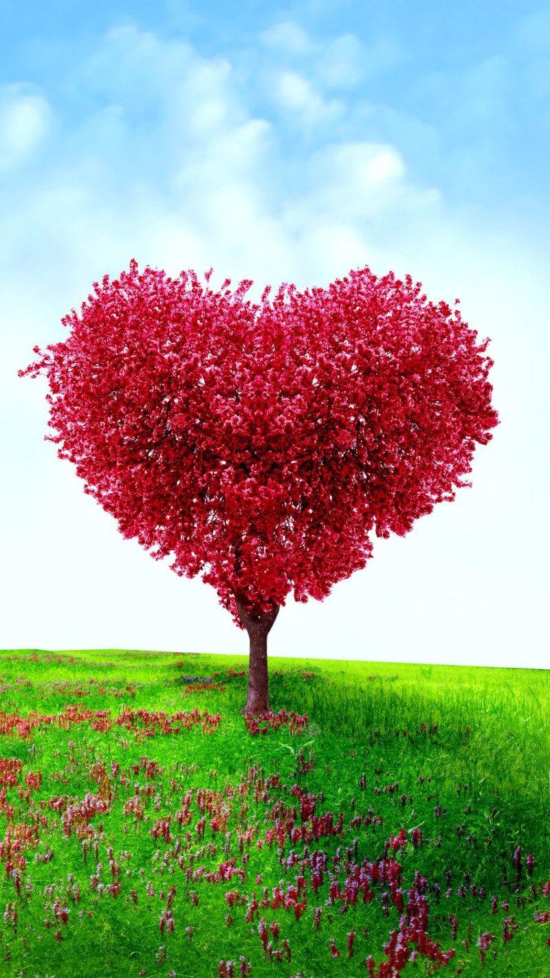 Tree For Love Wallpapers