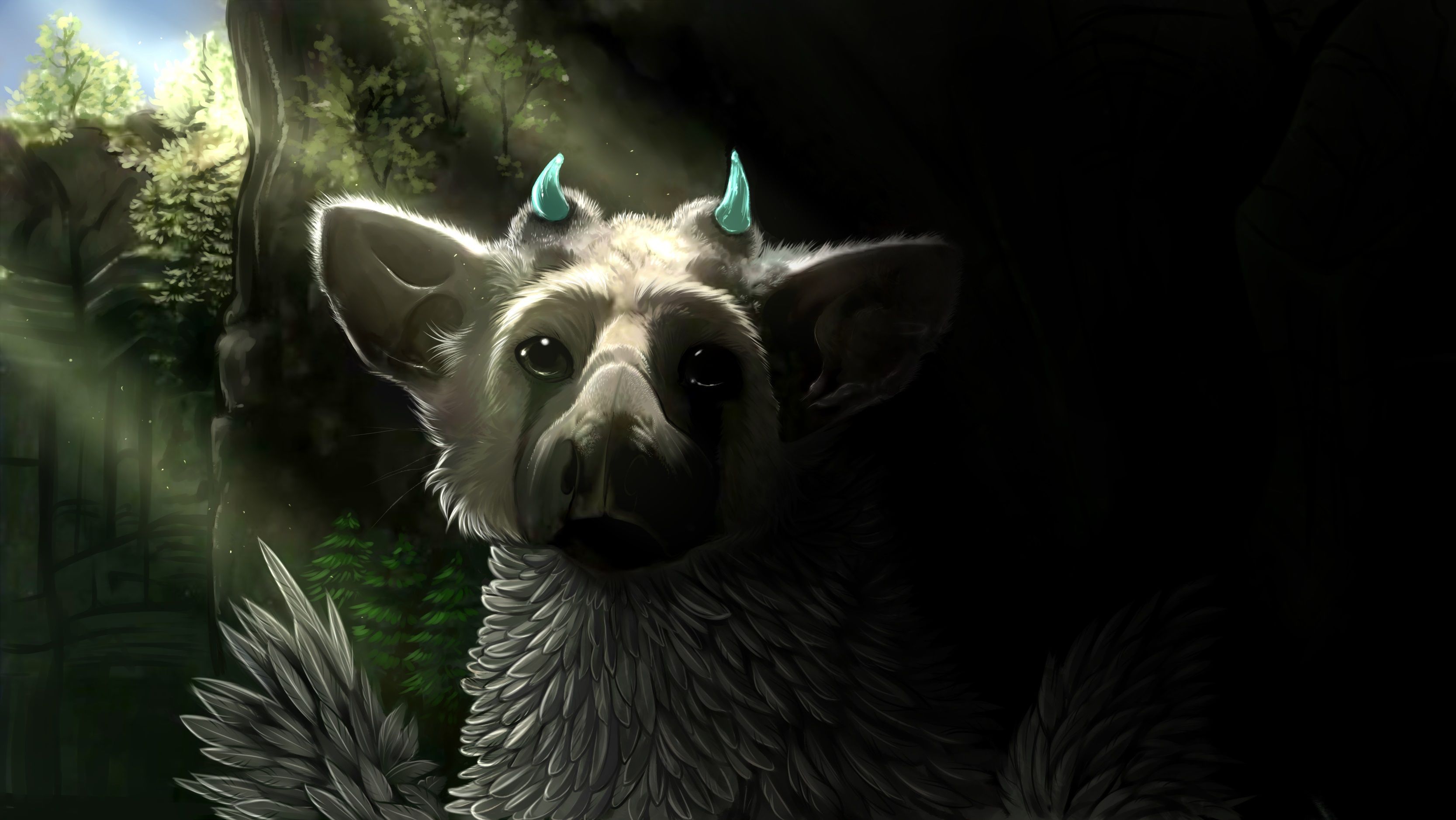 Trico The Last Guardian Wallpapers