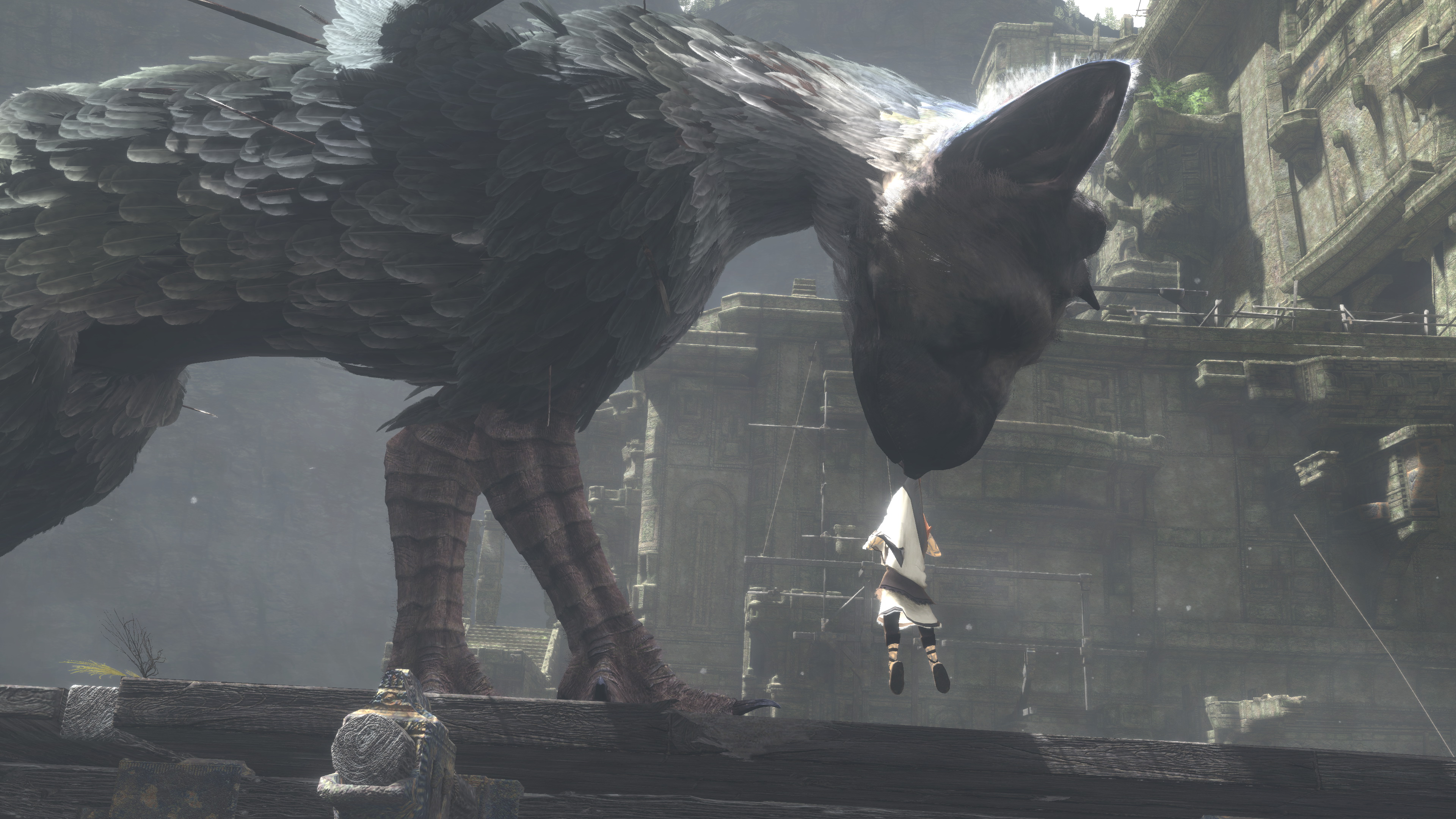 Trico The Last Guardian Wallpapers