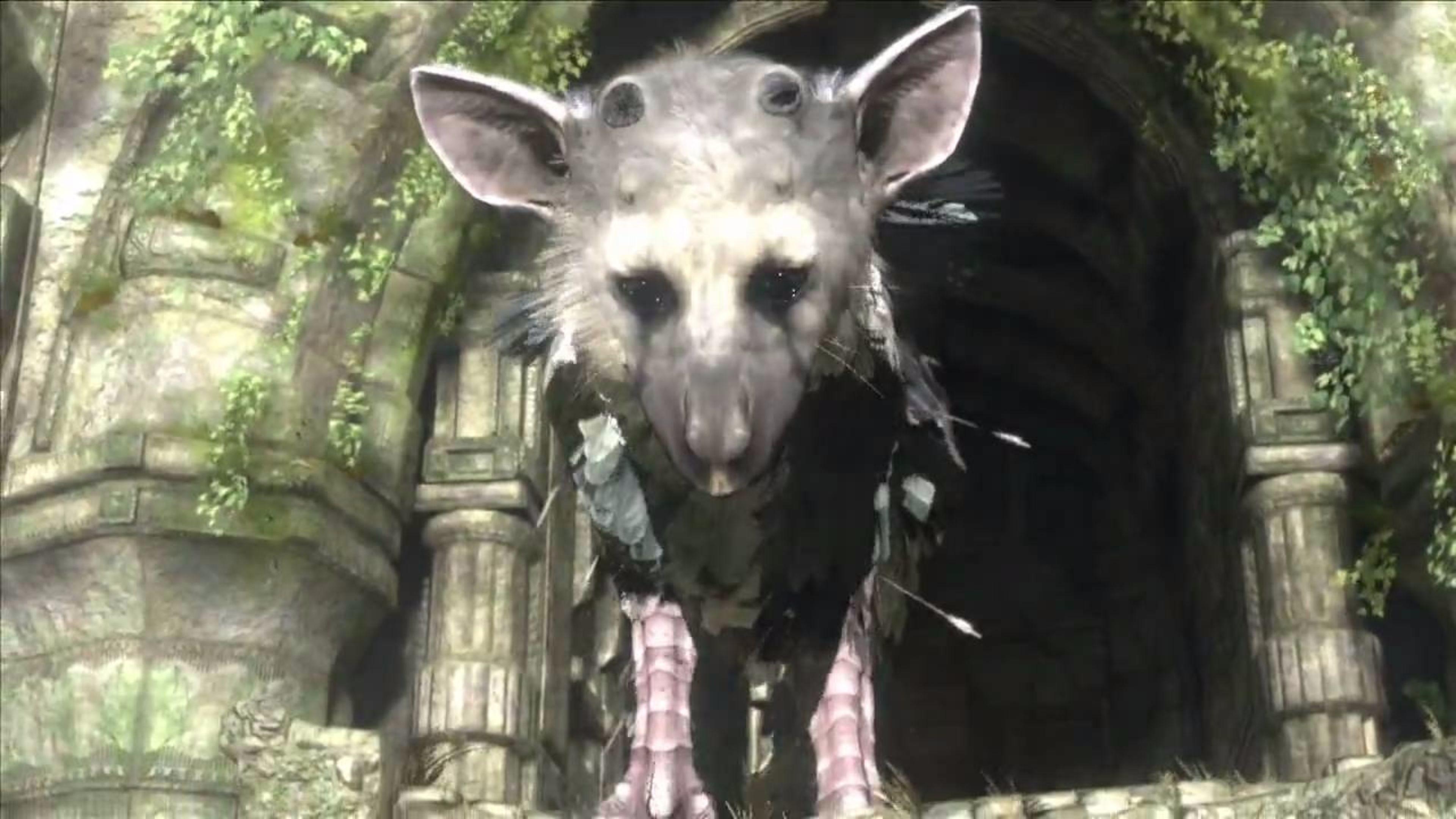 Trico The Last Guardian Wallpapers