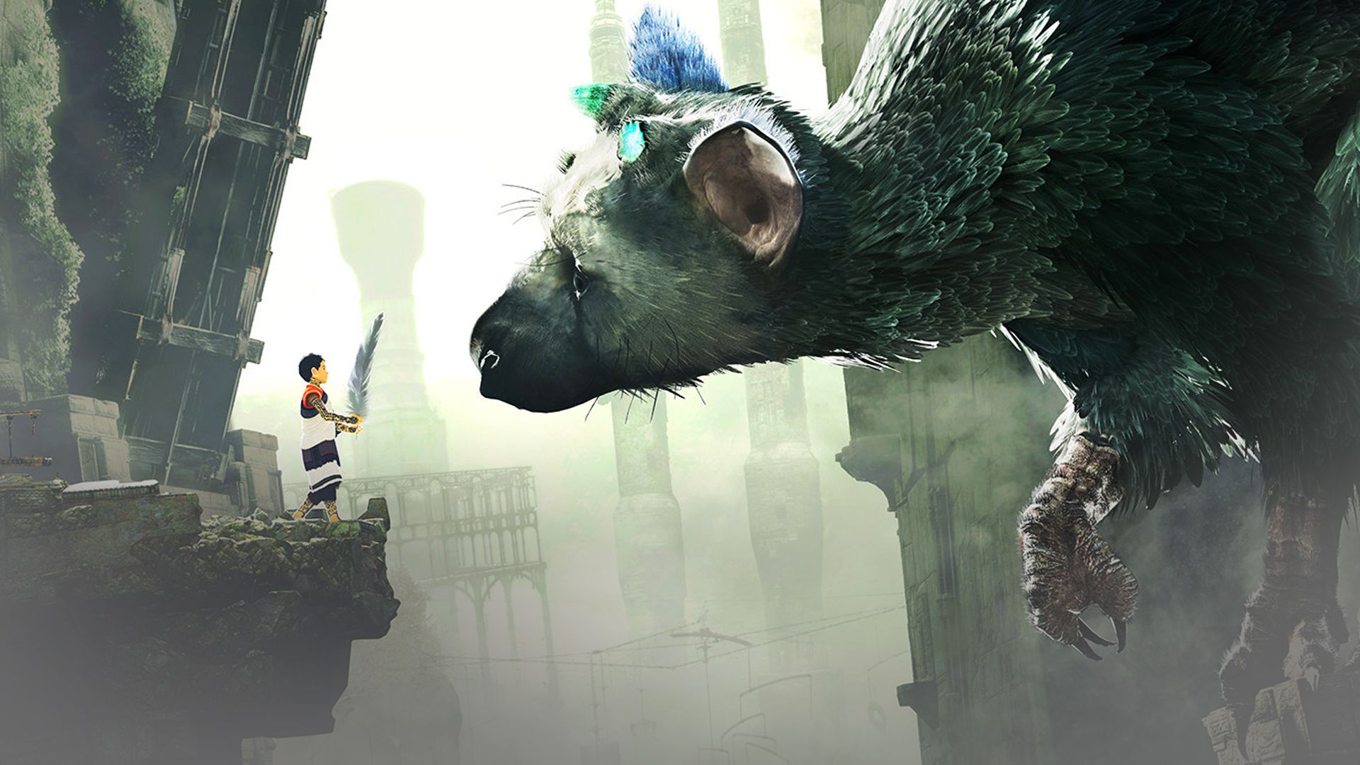 Trico Wallpapers