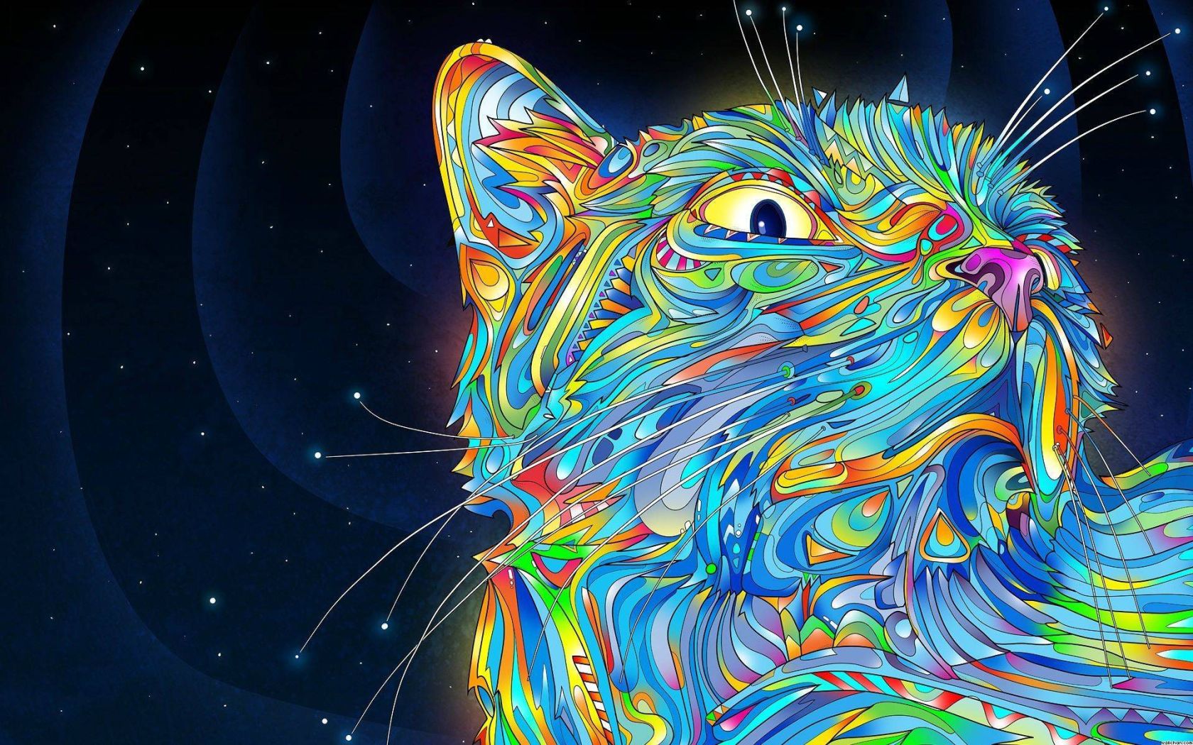 Trippy Cat Wallpapers