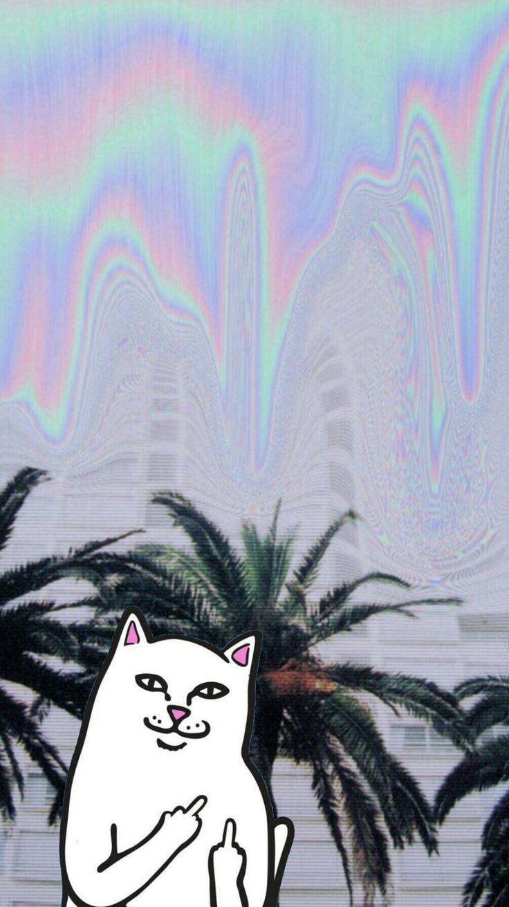 Trippy Cat Wallpapers