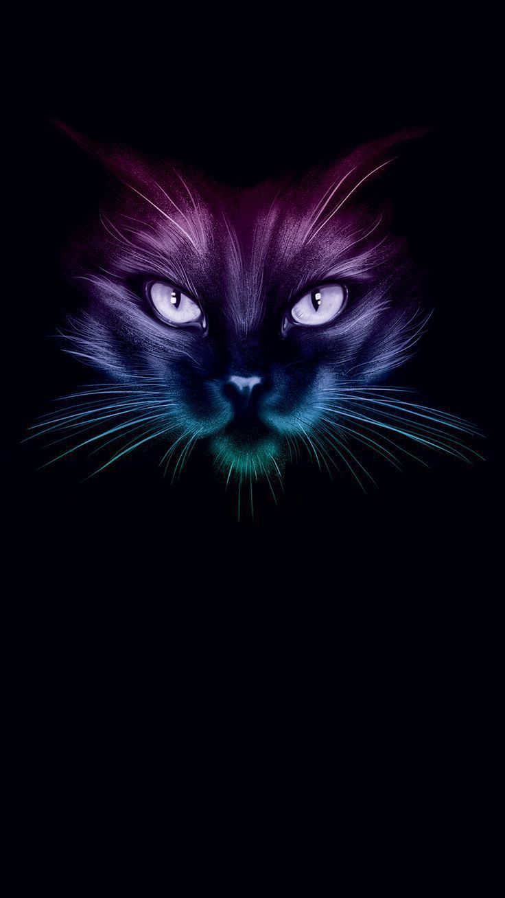 Trippy Cat Wallpapers