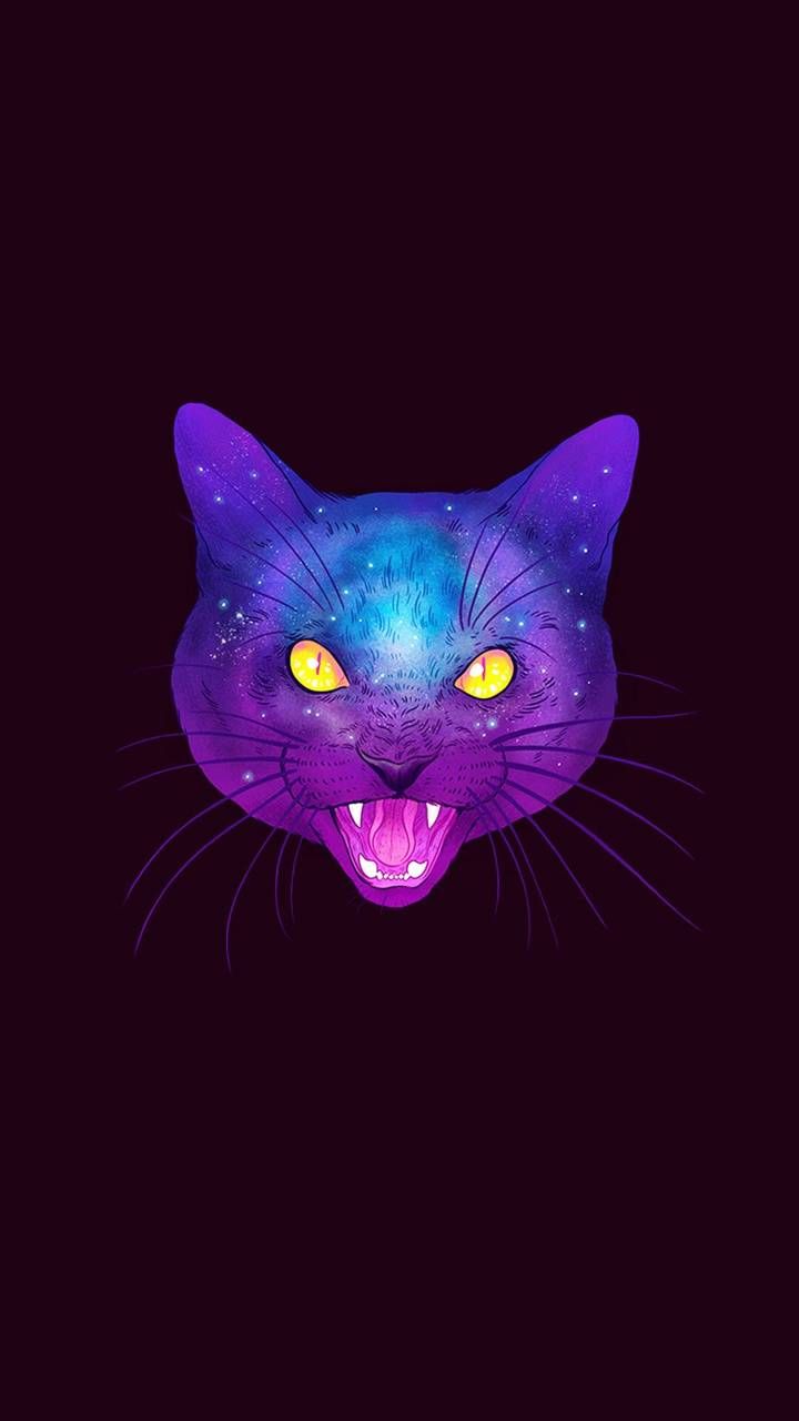 Trippy Cat Wallpapers