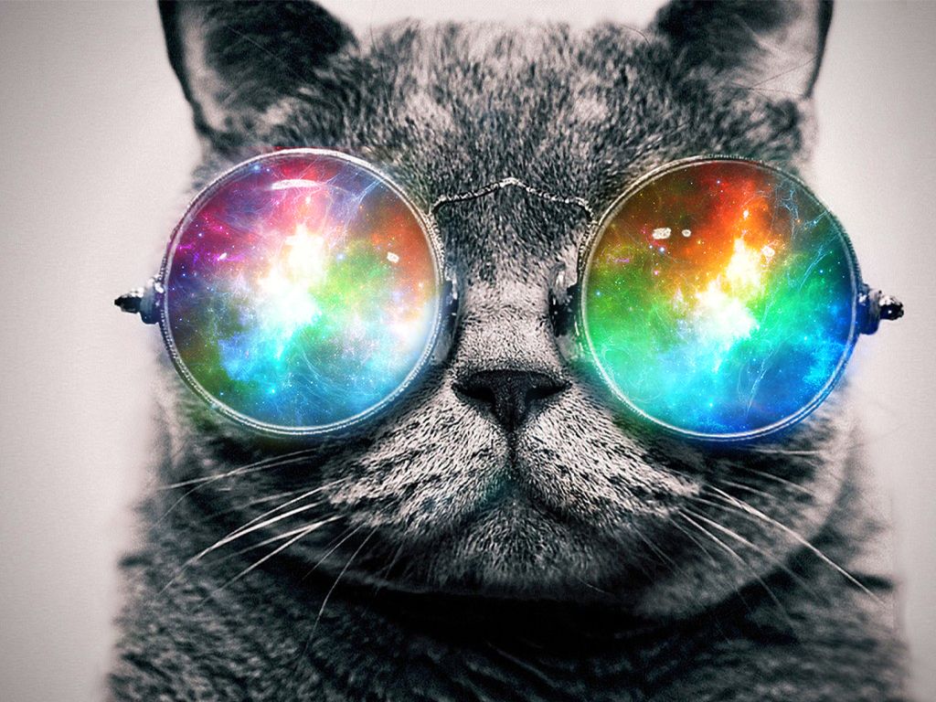 Trippy Cat Wallpapers