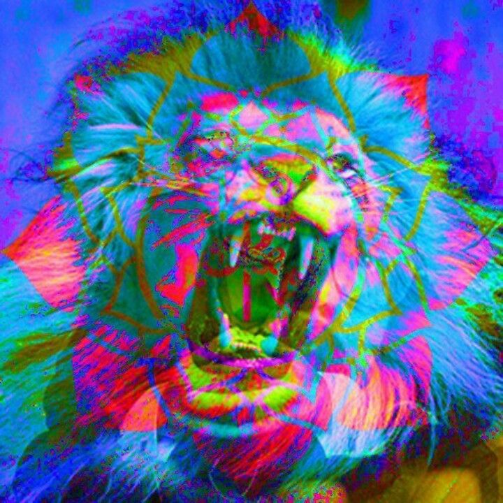 Trippy Lion Wallpapers