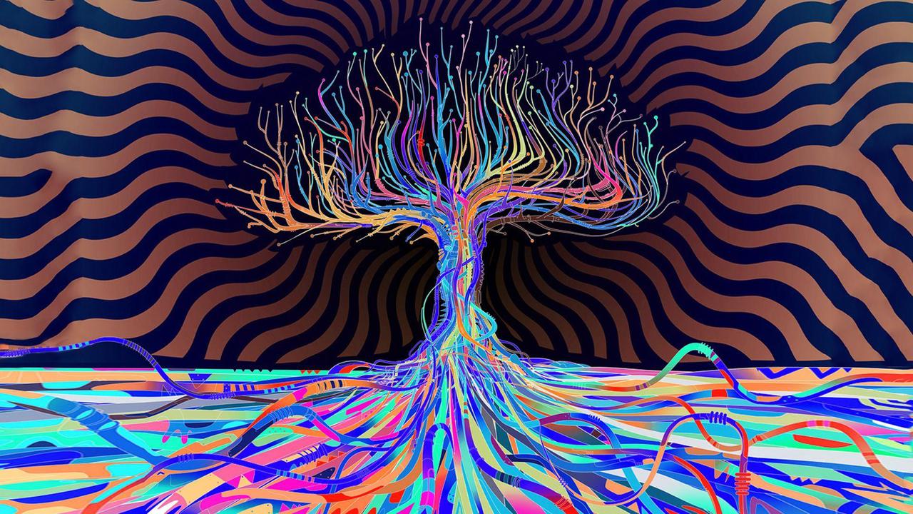 Trippy Mushroom Wallpapers