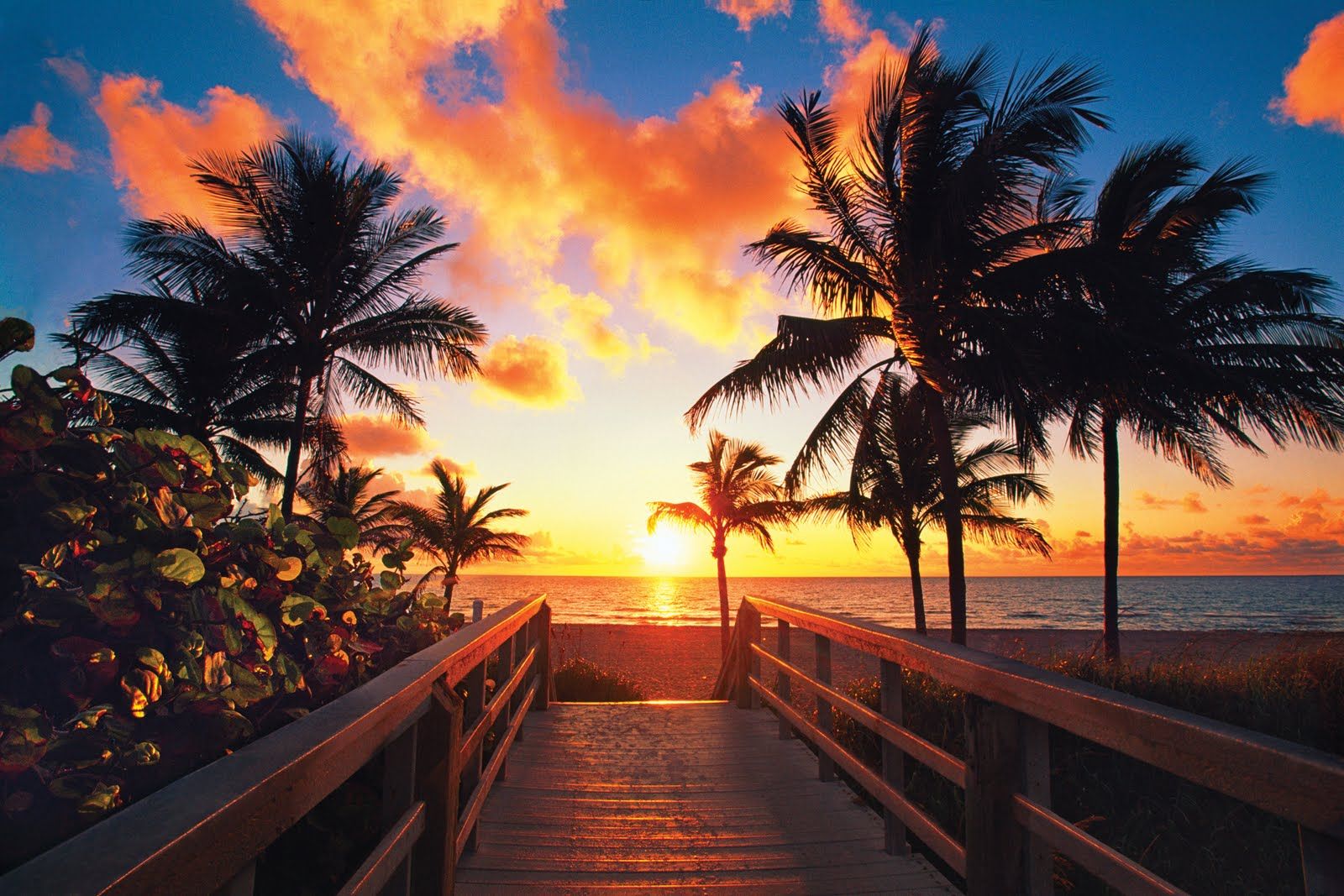 Tropical Beach Sunrise Wallpapers
