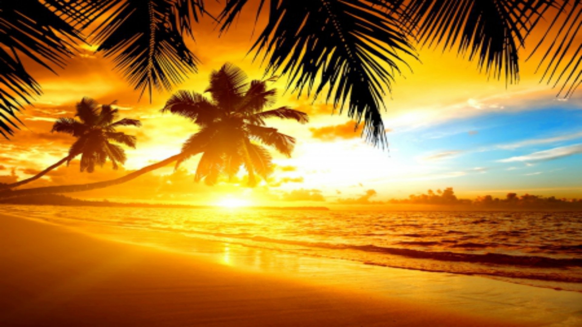 Tropical Beach Sunrise Wallpapers