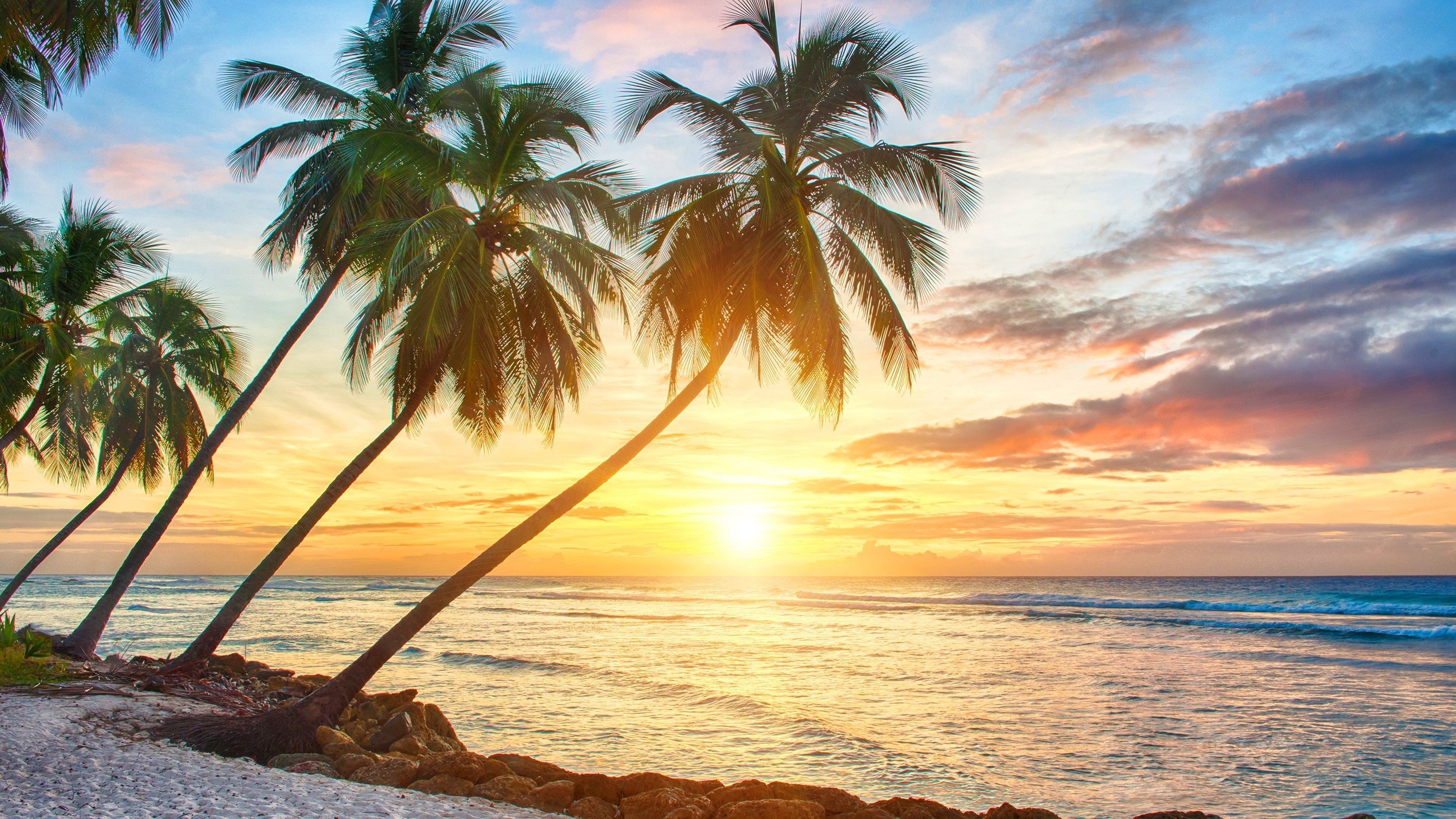 Tropical Beach Sunrise Wallpapers