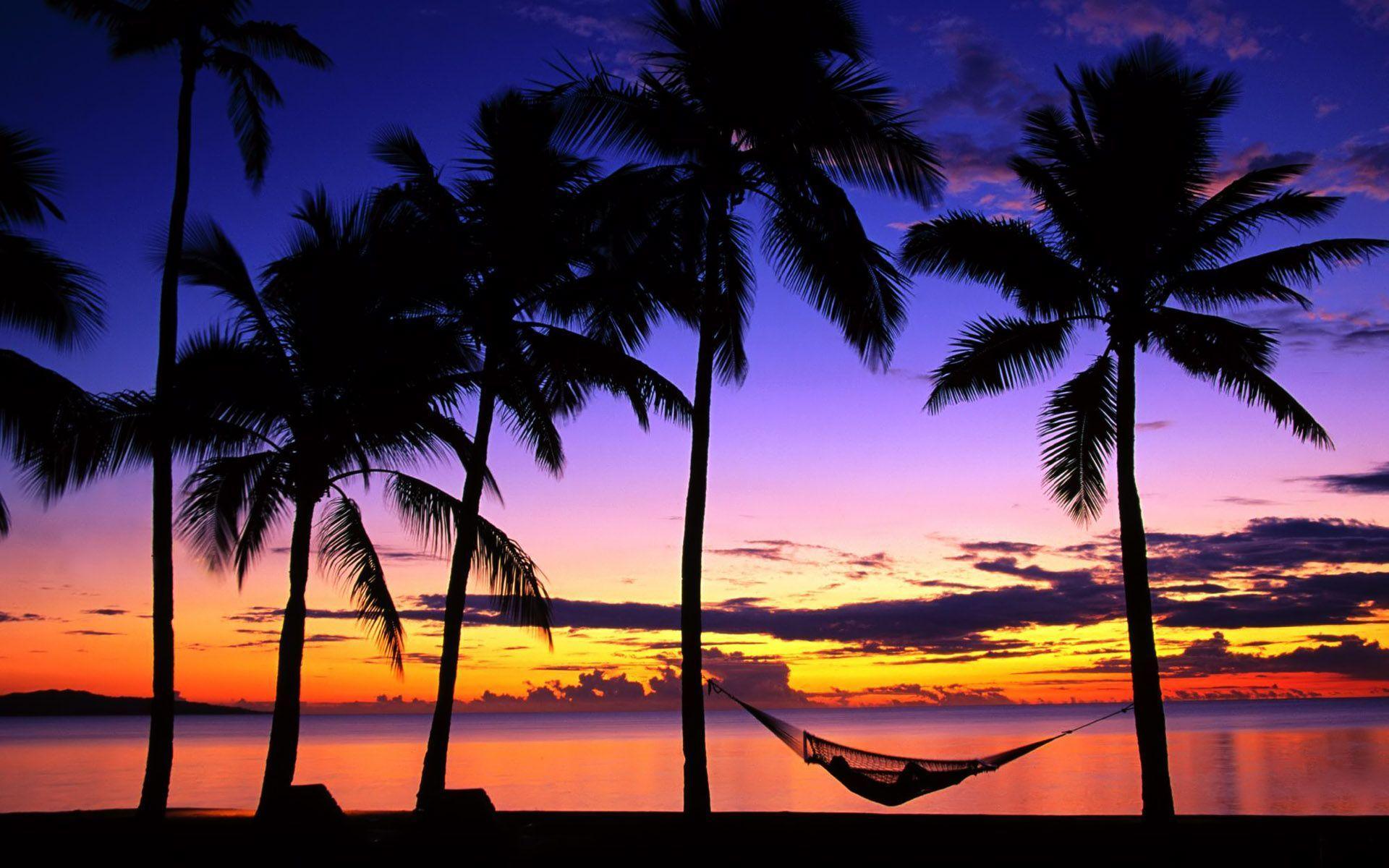 Tropical Beach Sunrise Wallpapers