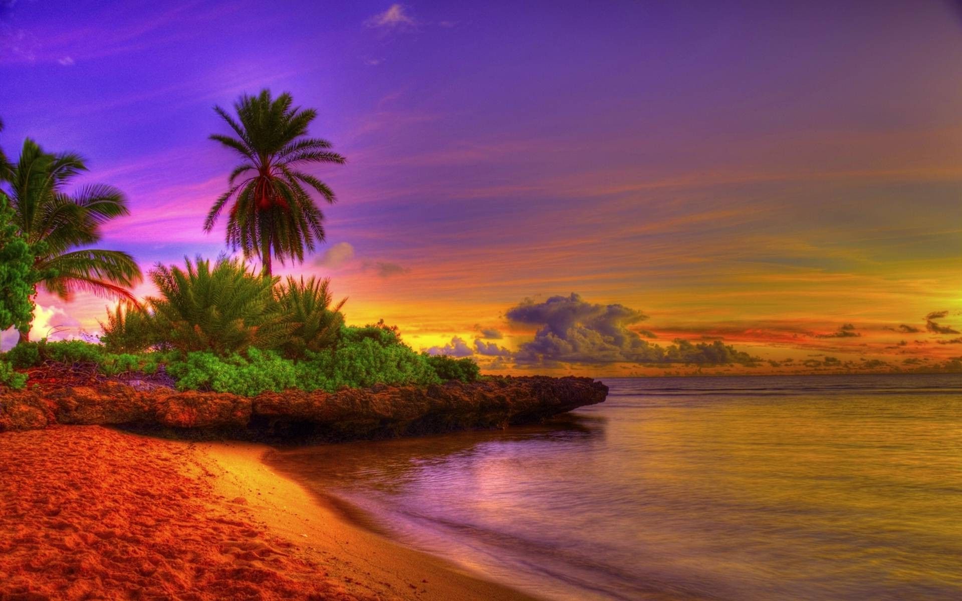 Tropical Beach Sunrise Wallpapers