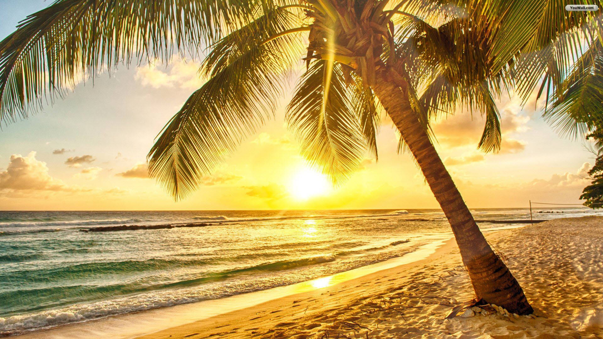 Tropical Beach Sunrise Wallpapers