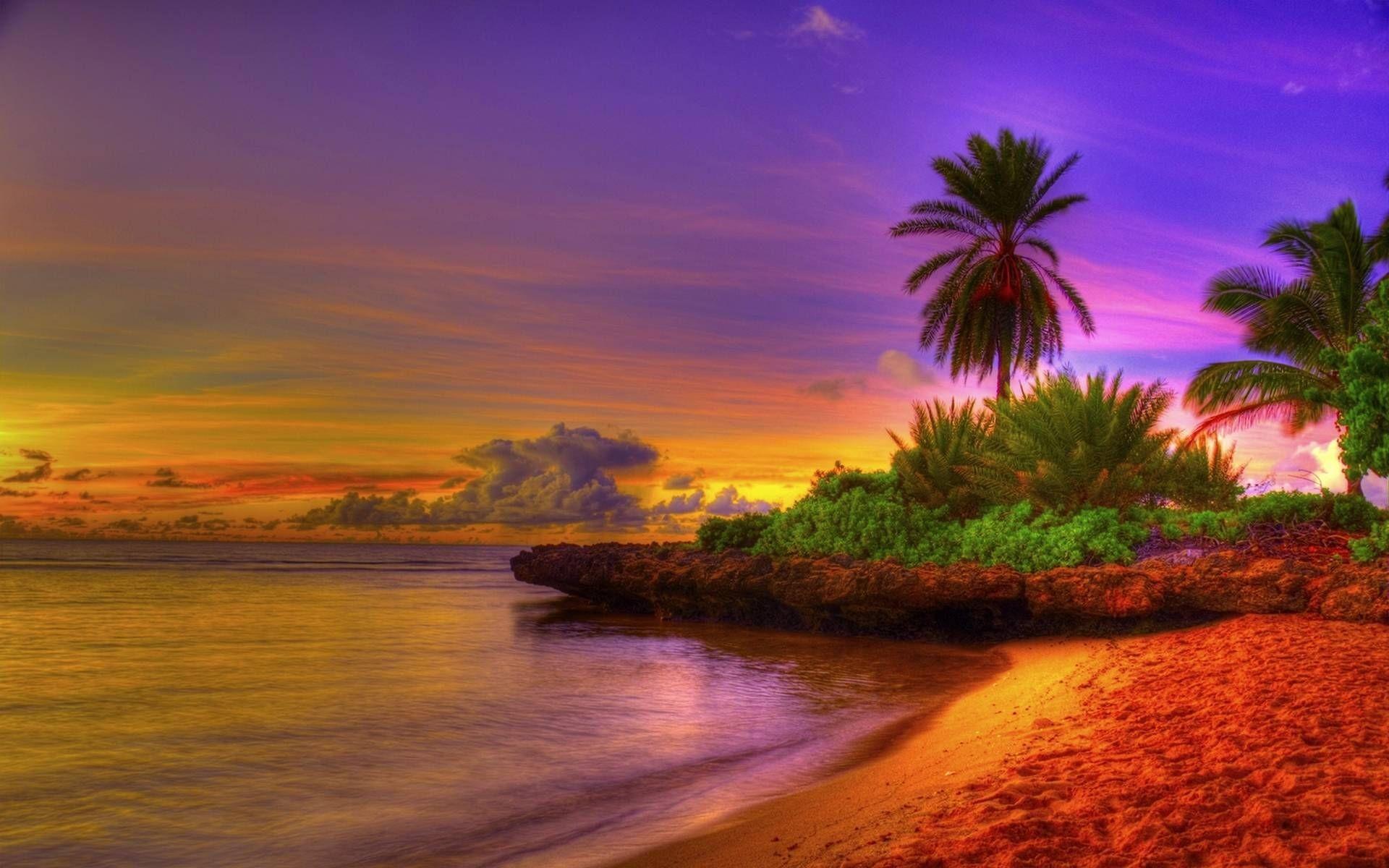 Tropical Beach Sunrise Wallpapers