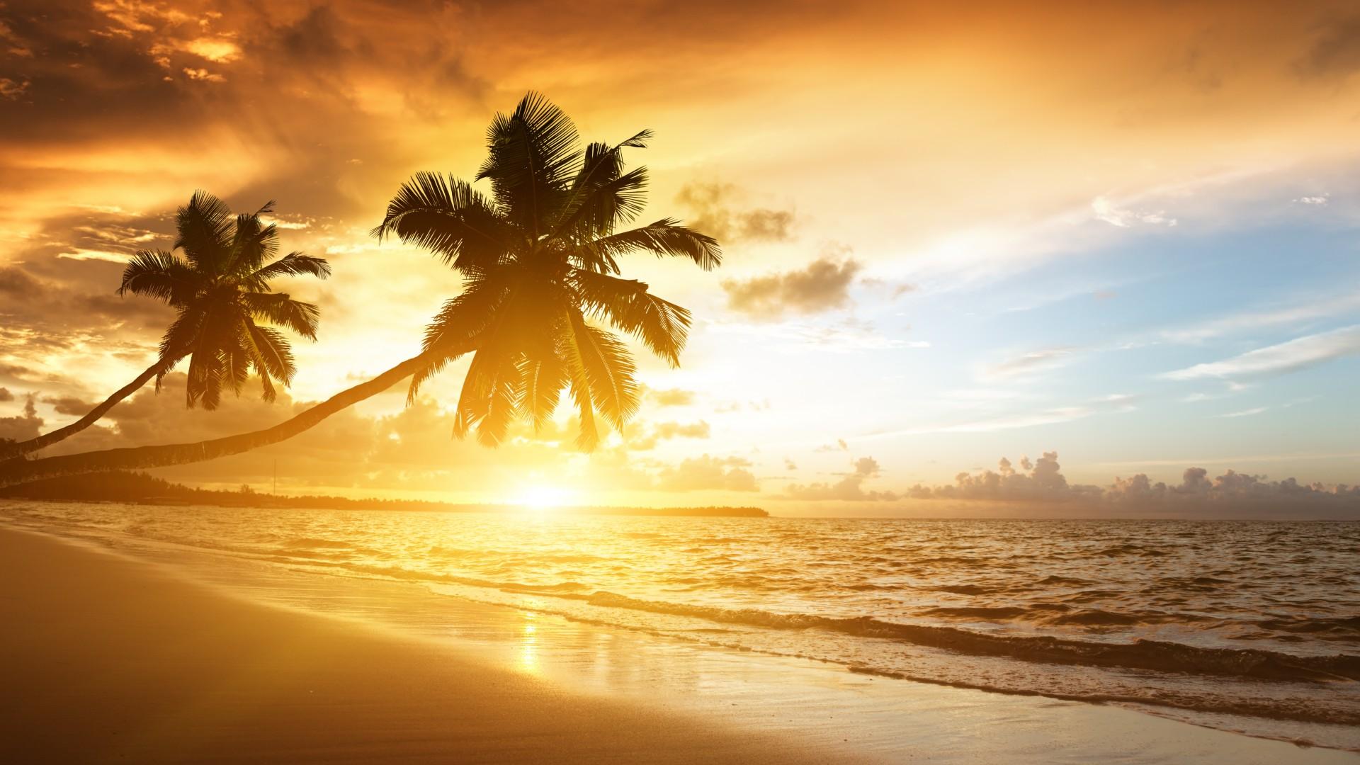 Tropical Beach Sunrise Wallpapers