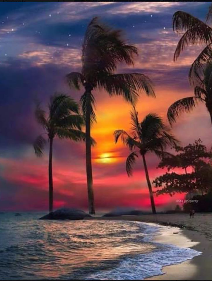 Tropical Beach Sunrise Wallpapers