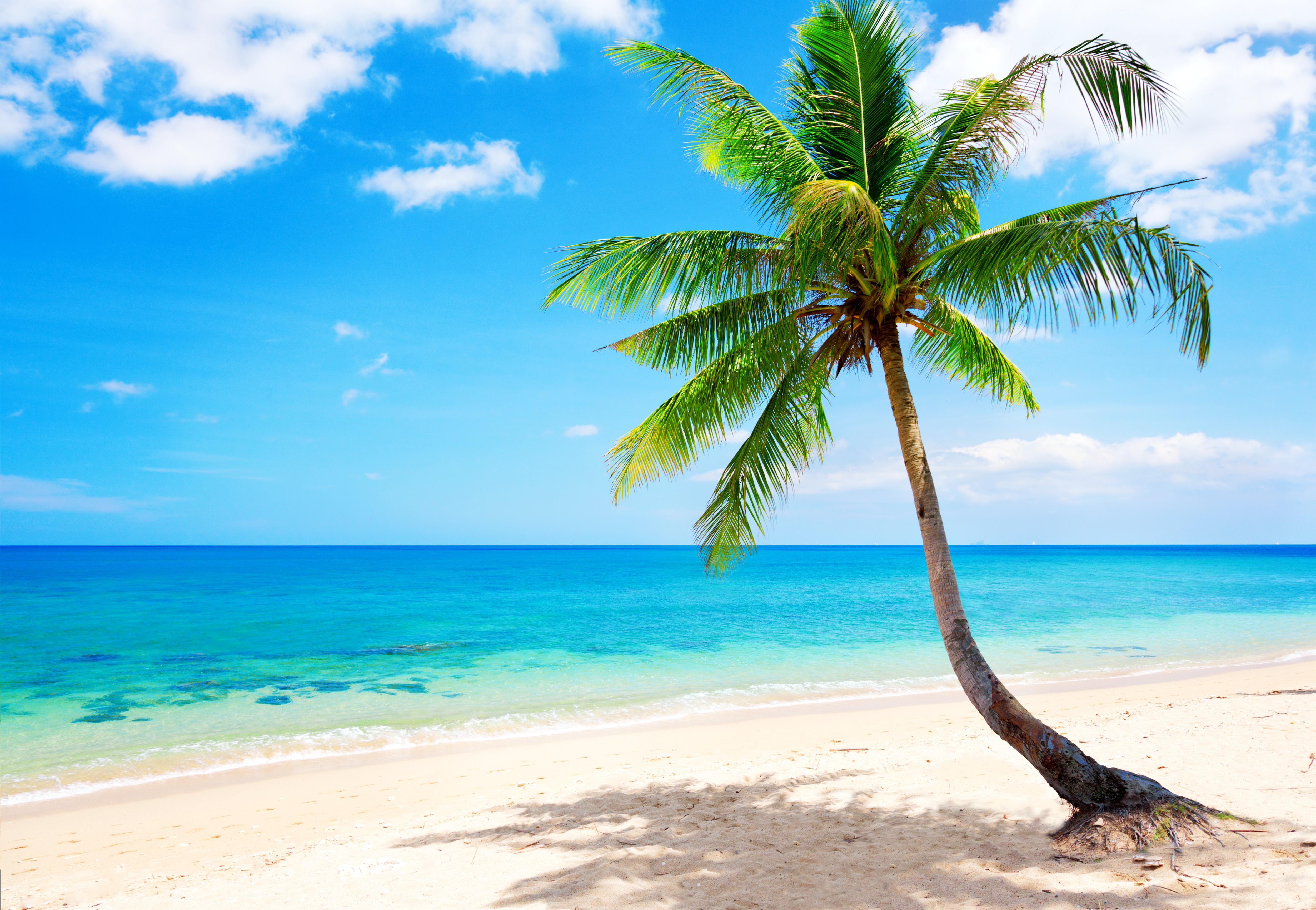 Tropical Beach Wallpapers