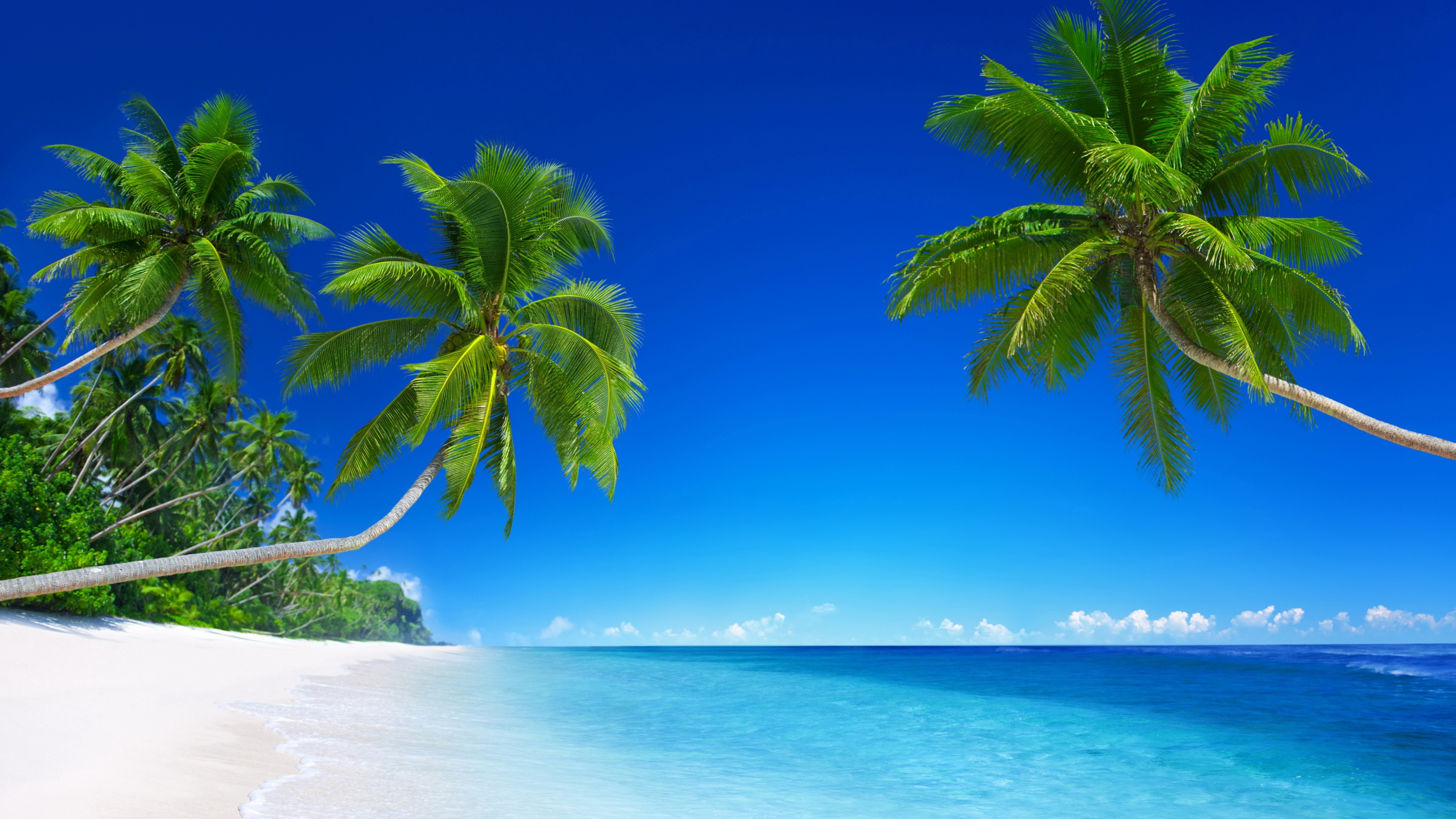 Tropical Beach Wallpapers