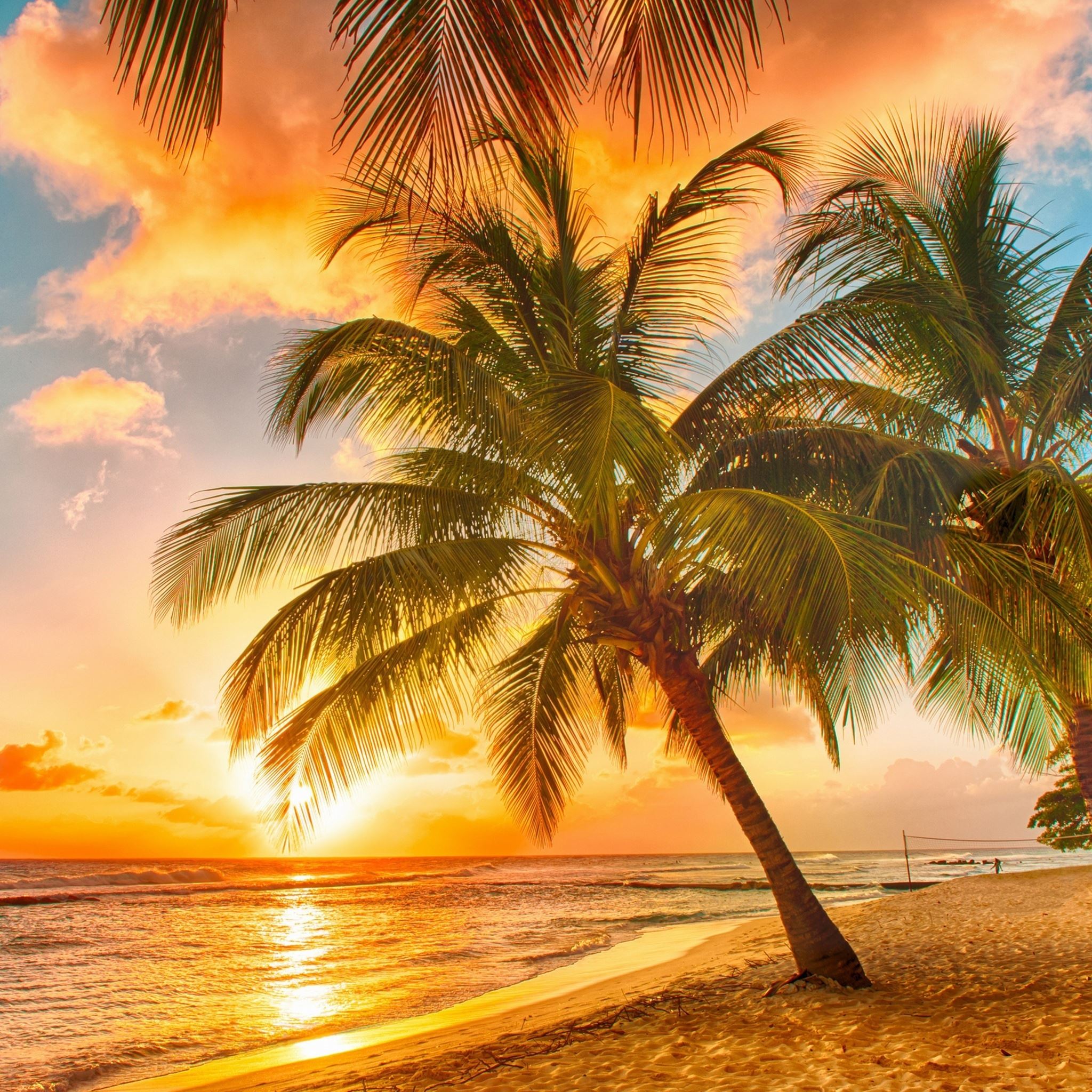 Tropical Beach Wallpapers