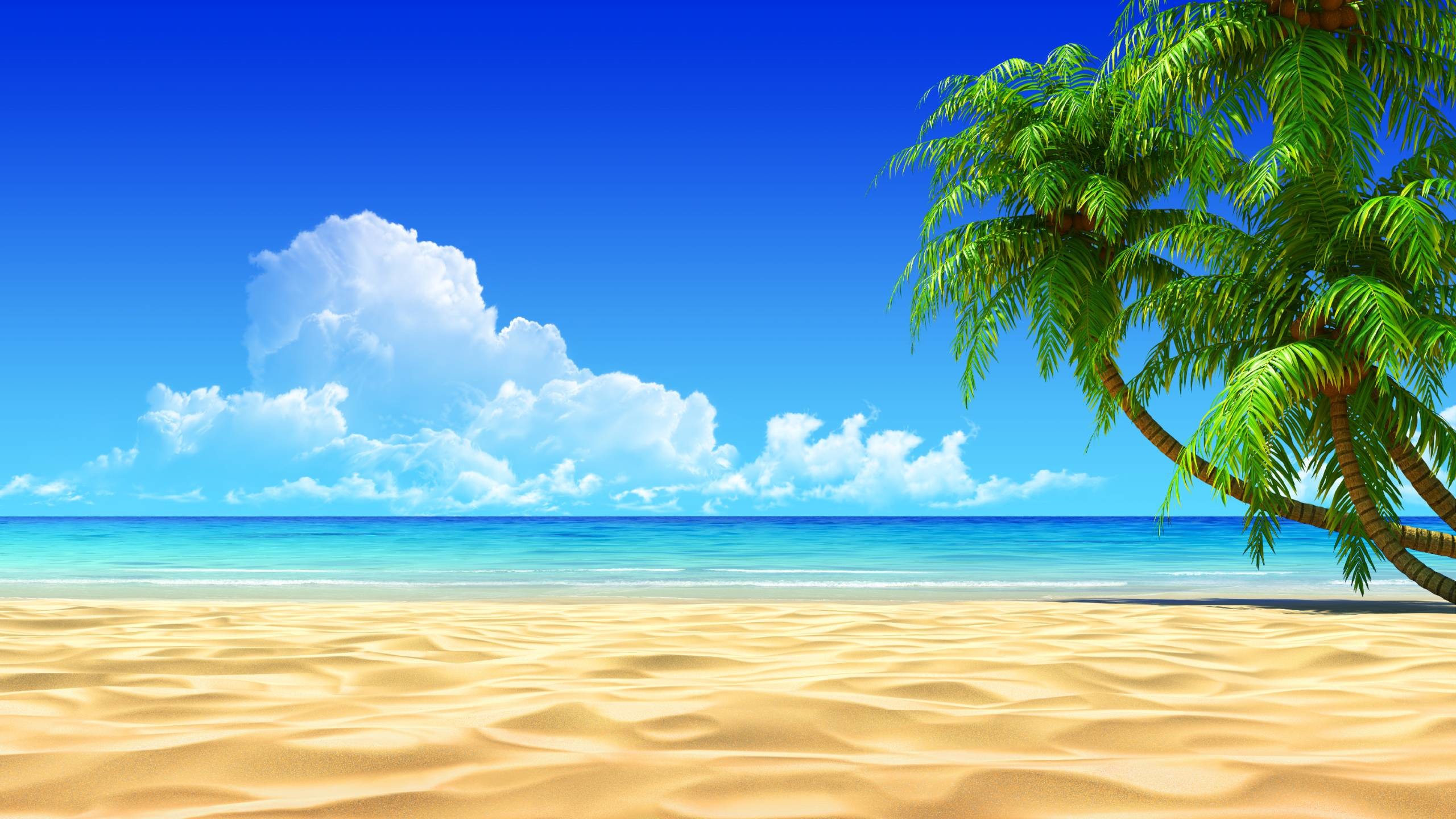 Tropical Beach Wallpapers