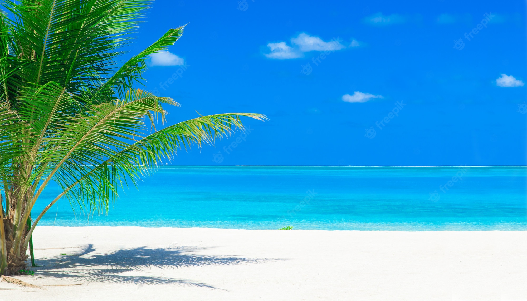 Tropical Beach Wallpapers