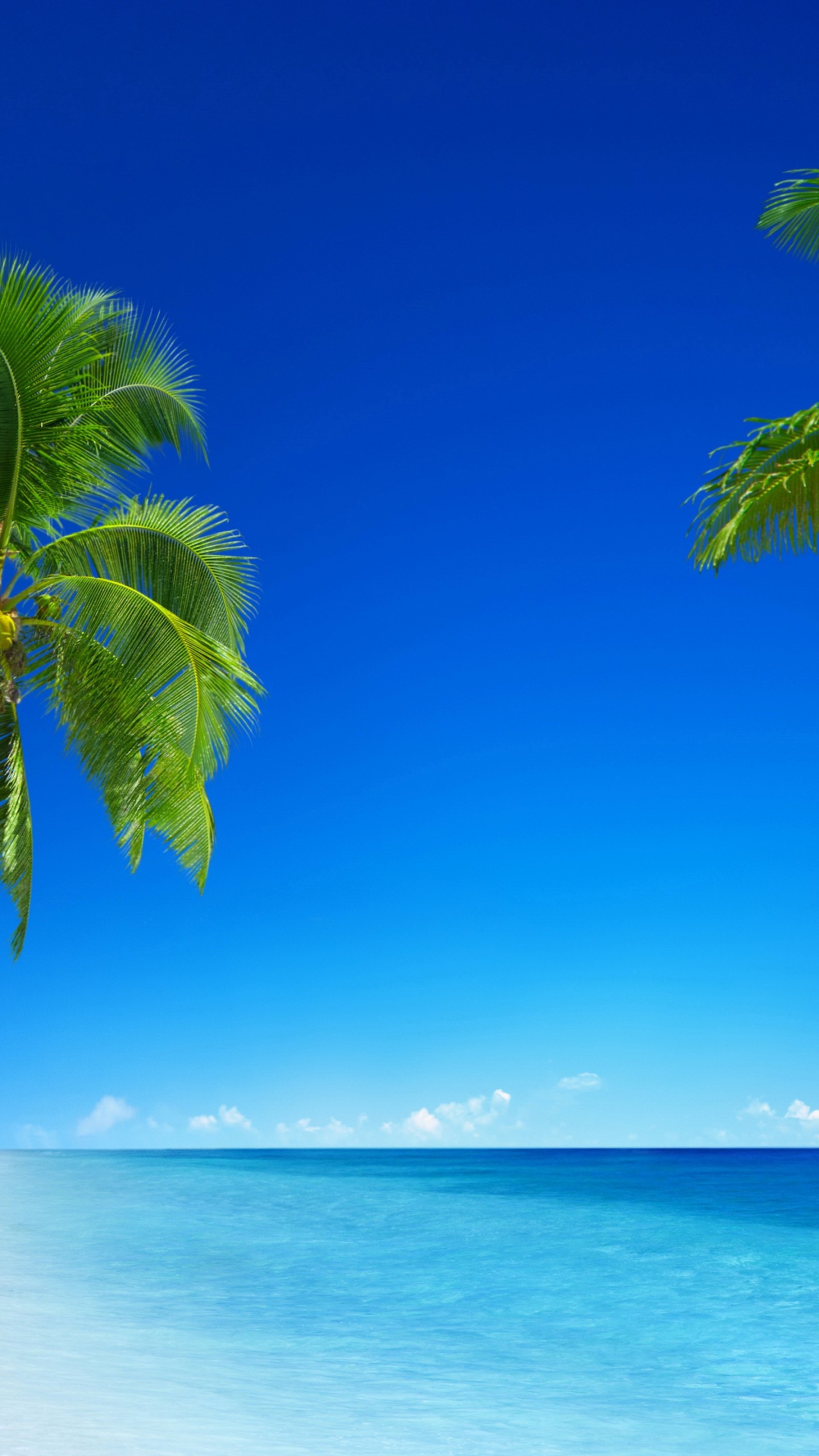 Tropical Beach Wallpapers