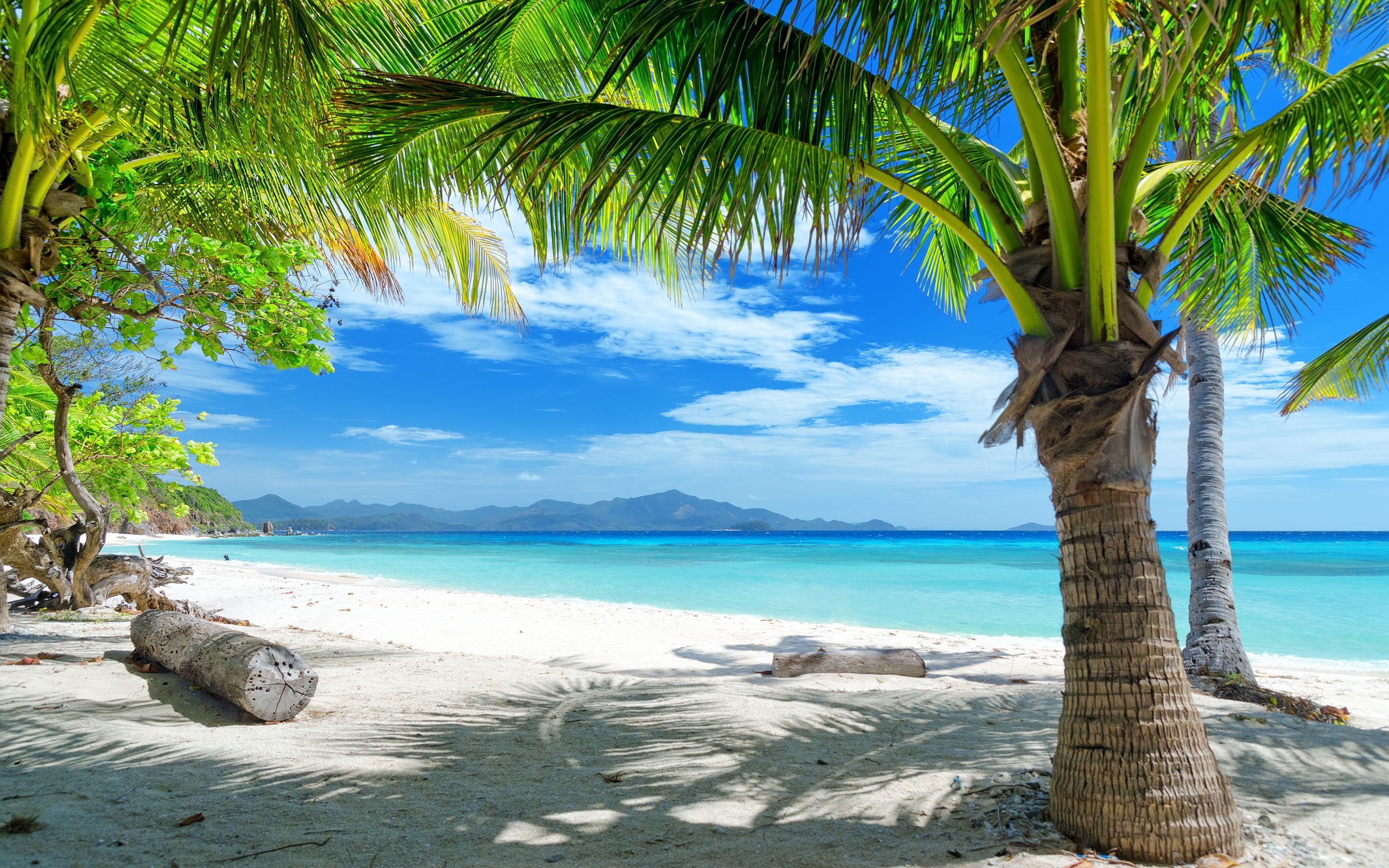 Tropical Beach Wallpapers