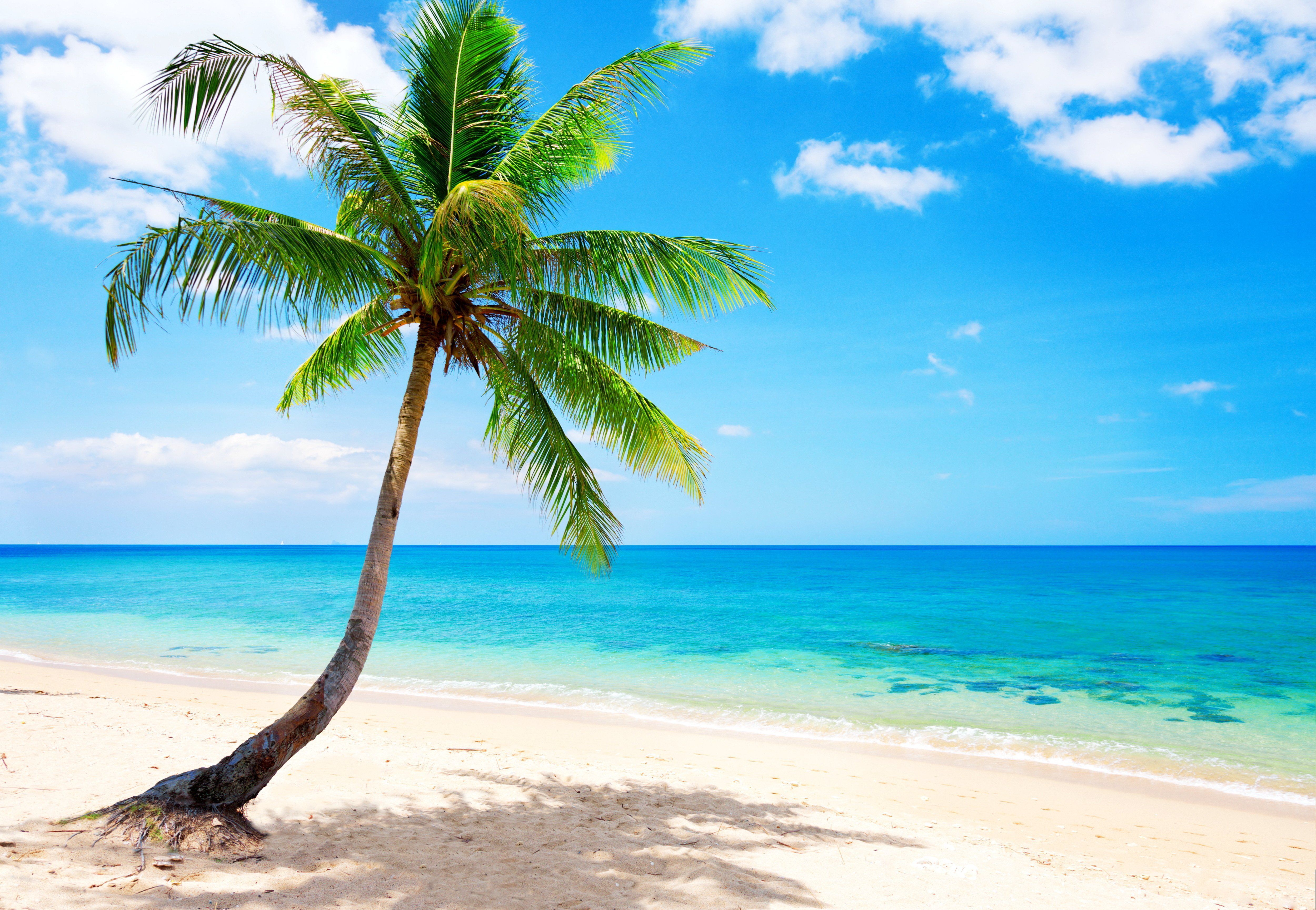 Tropical Beach Wallpapers