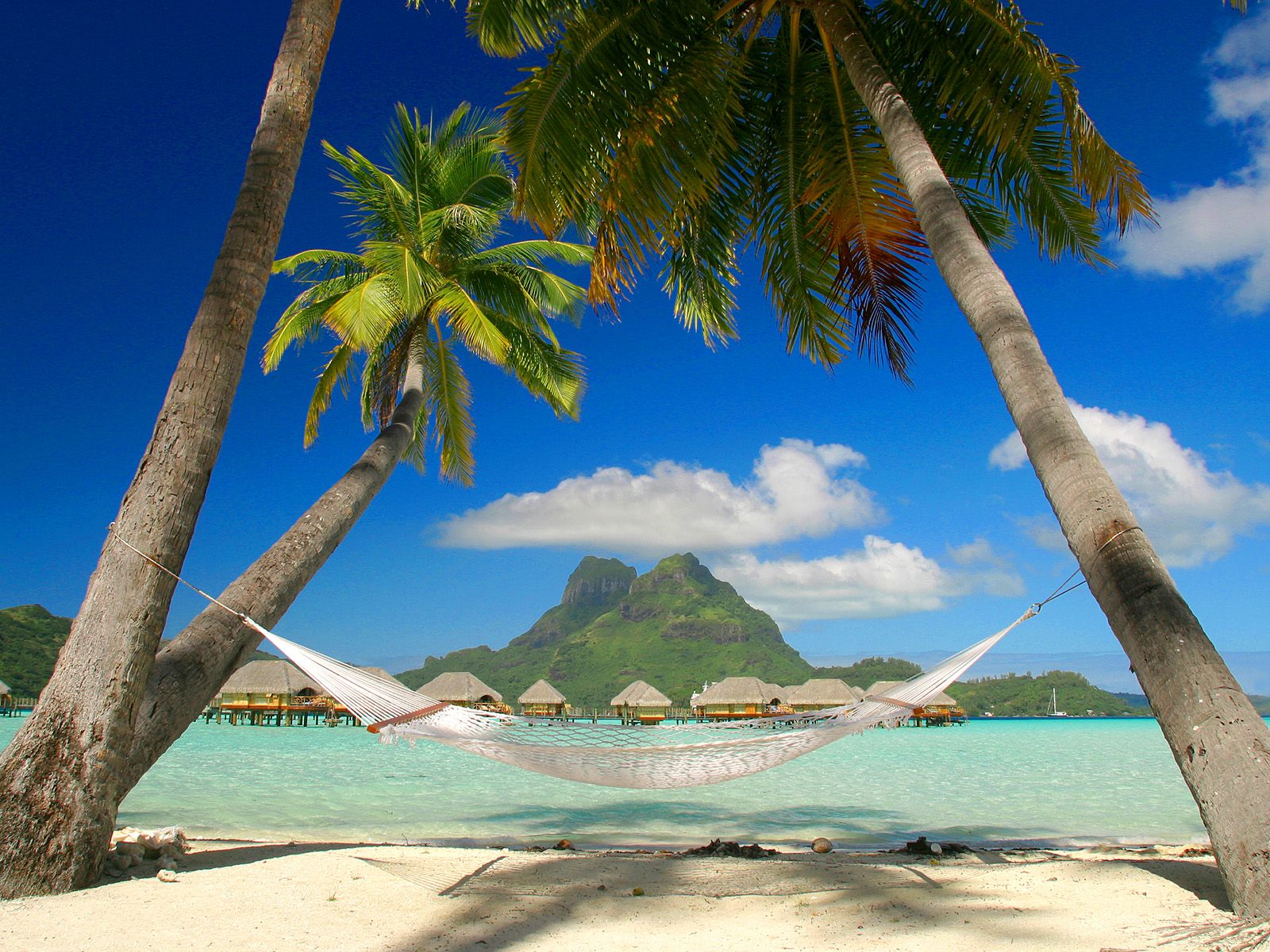 Tropical Beach Wallpapers